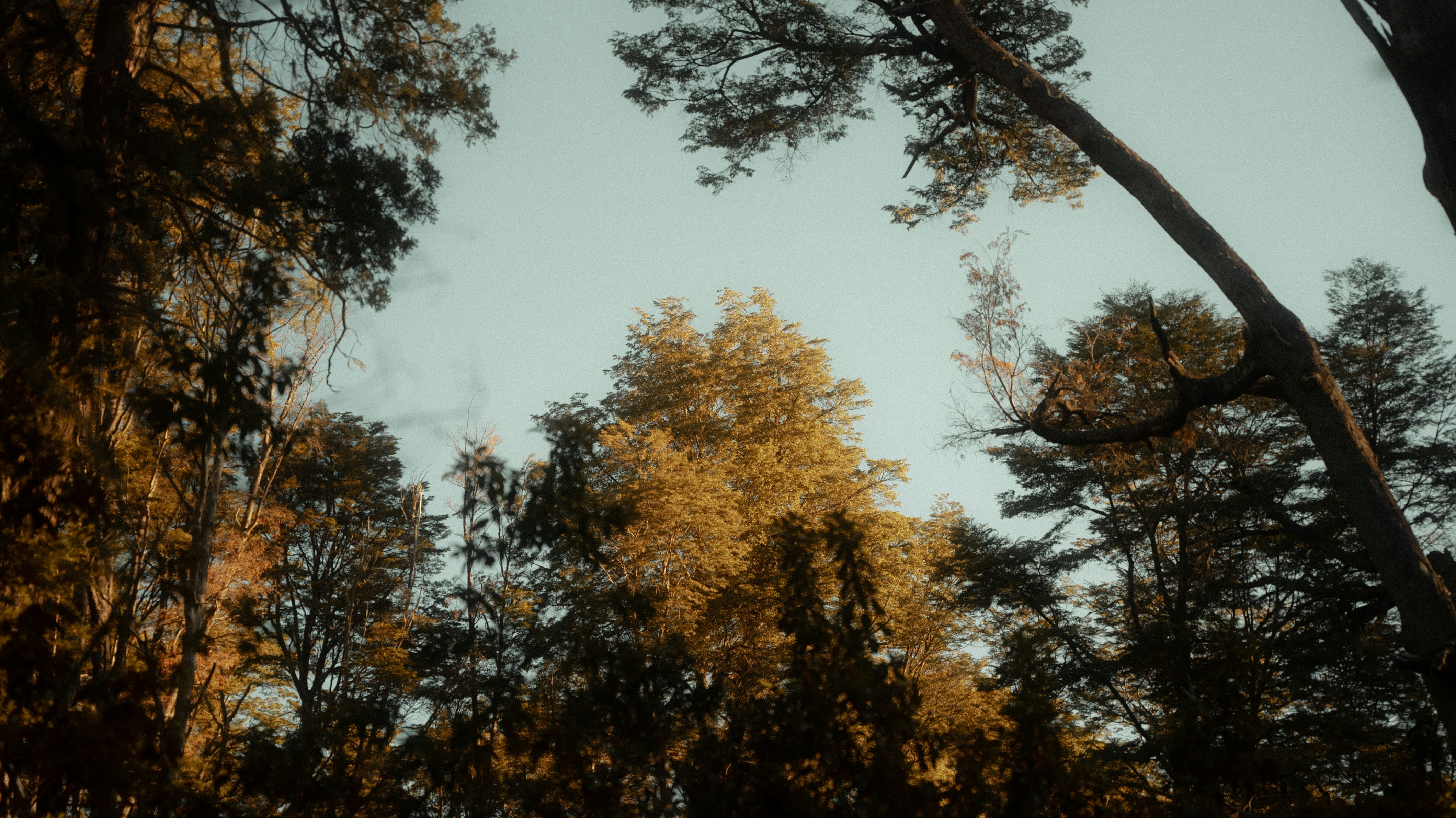 Photo by bryanbrittos