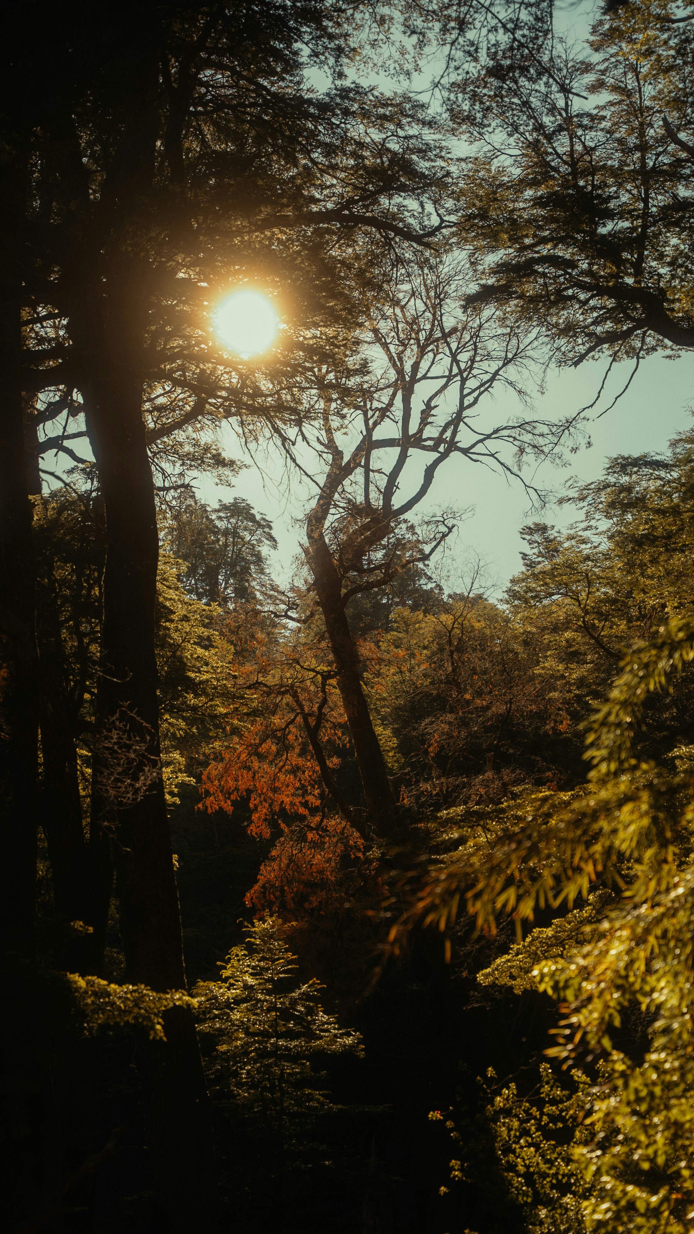 Photo by bryanbrittos