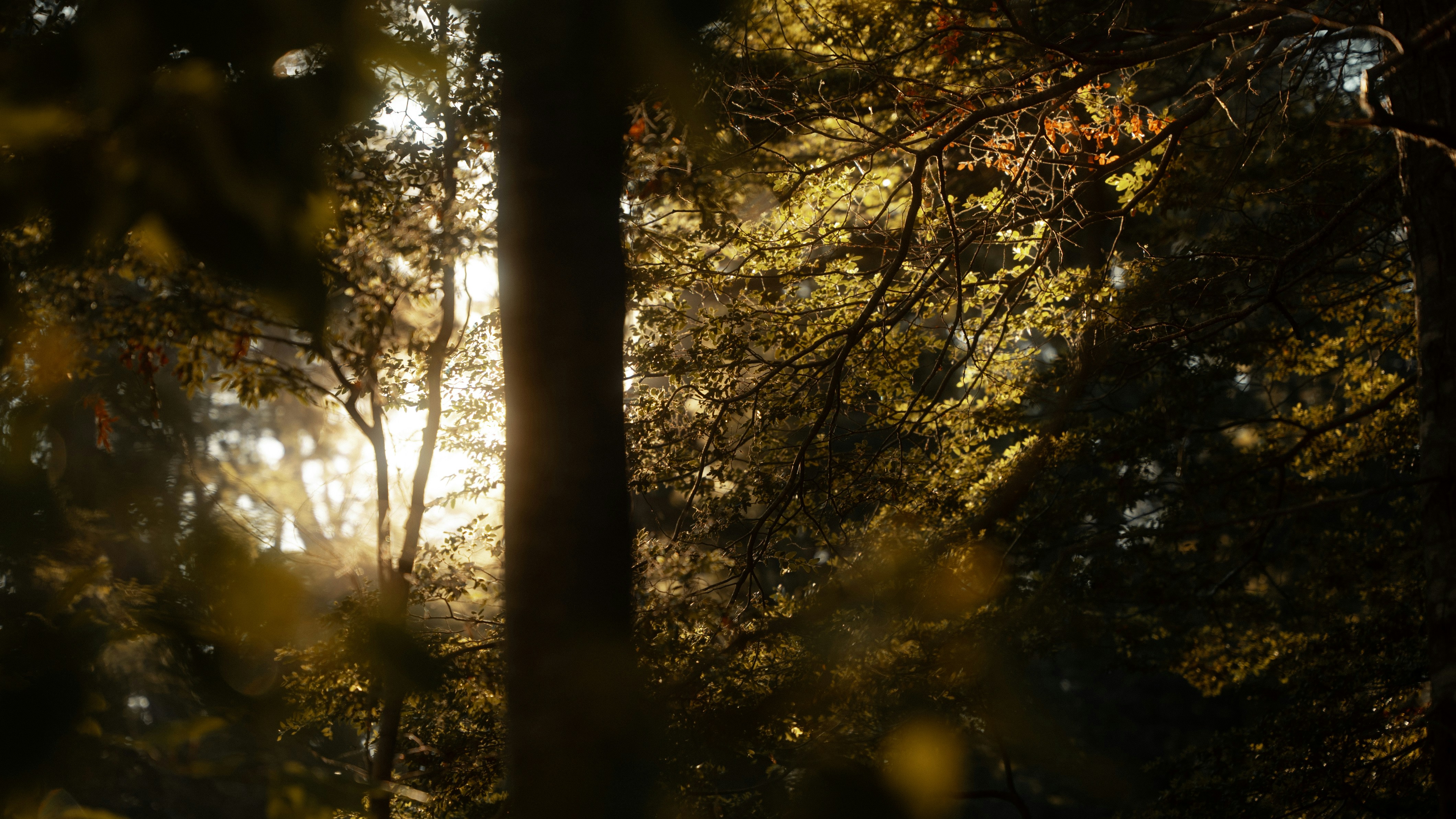 Photo by bryanbrittos