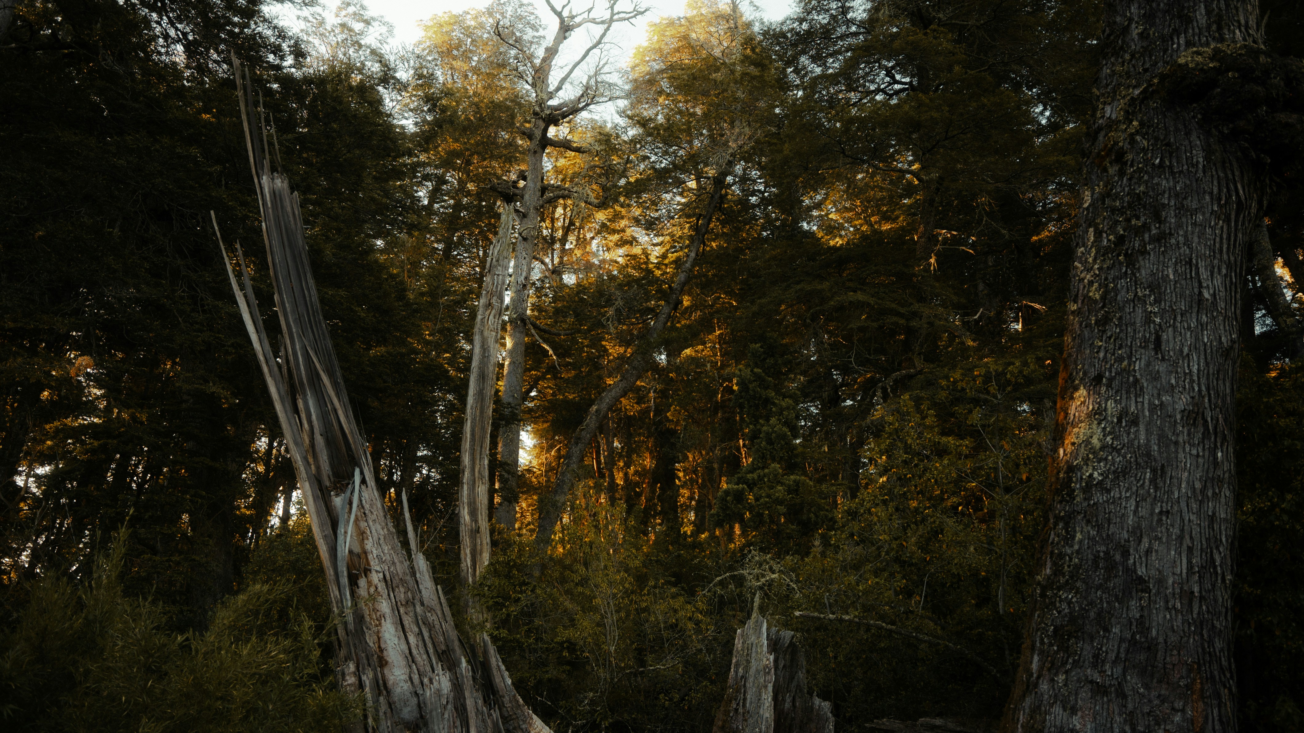 Photo by bryanbrittos