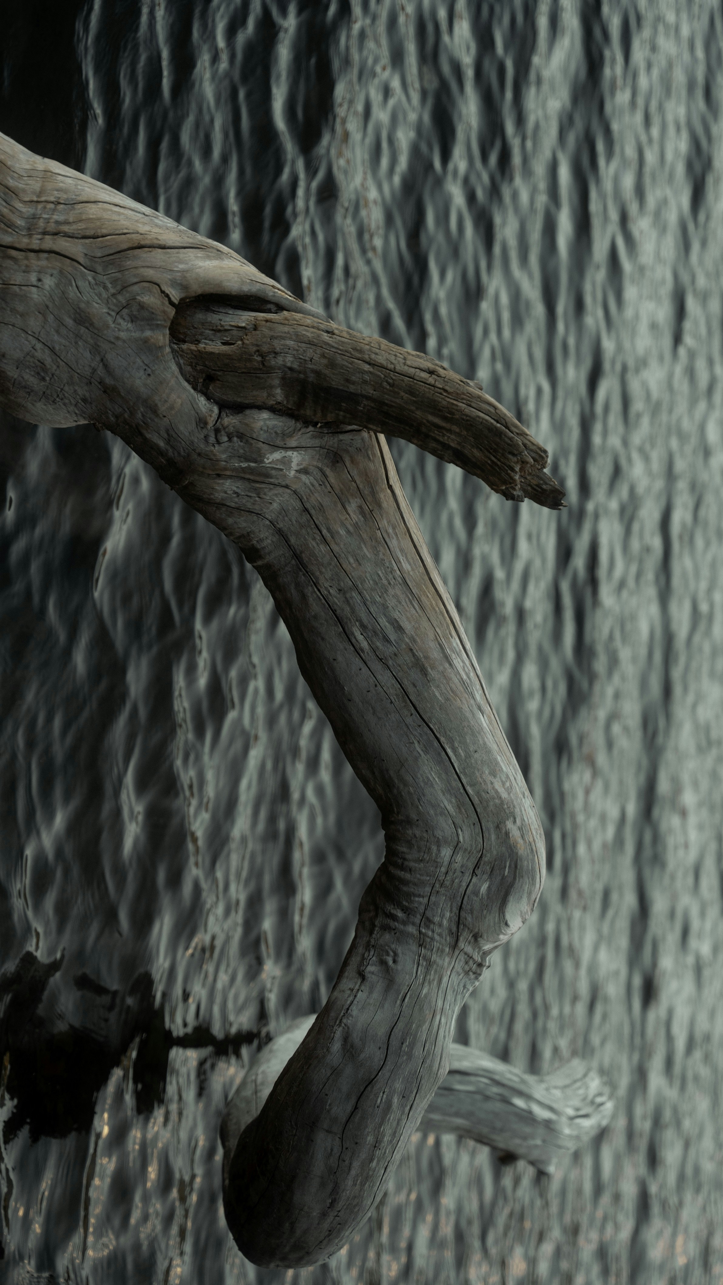 Photo by bryanbrittos