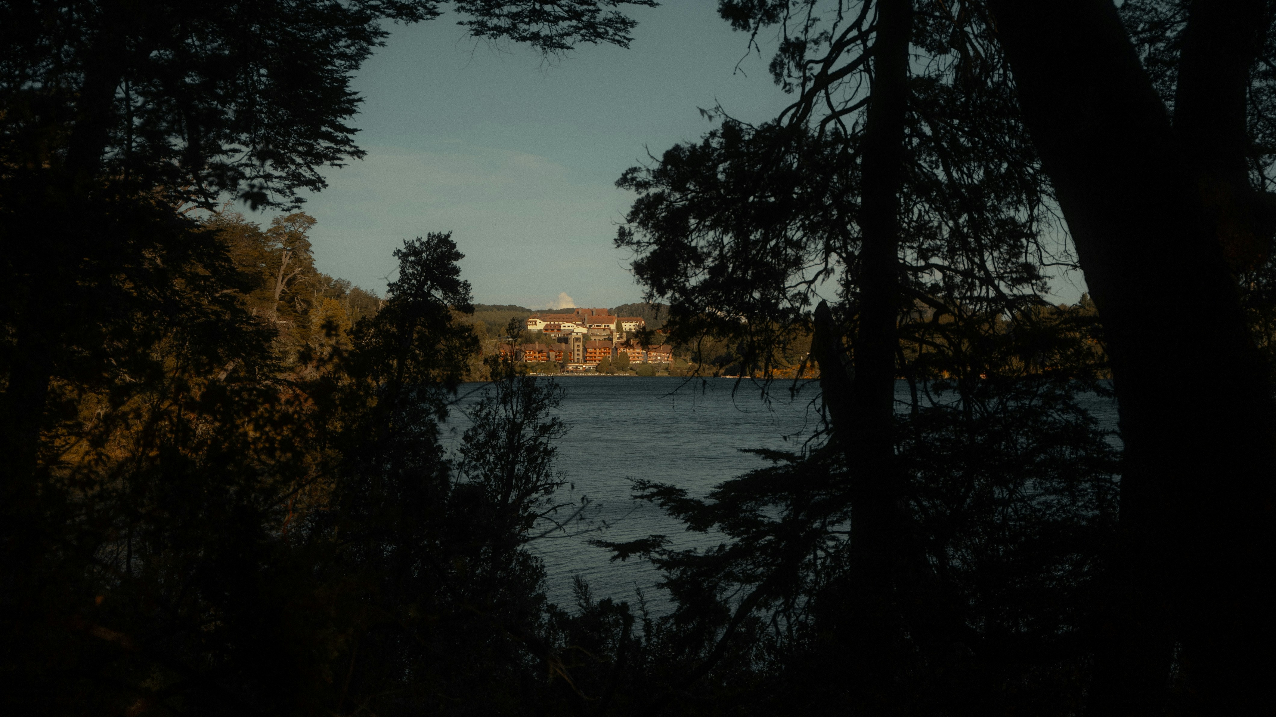 Photo by bryanbrittos