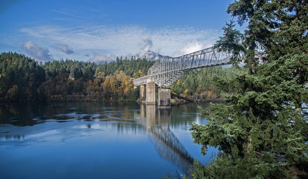 un ponte su un fiume circondato da alberi