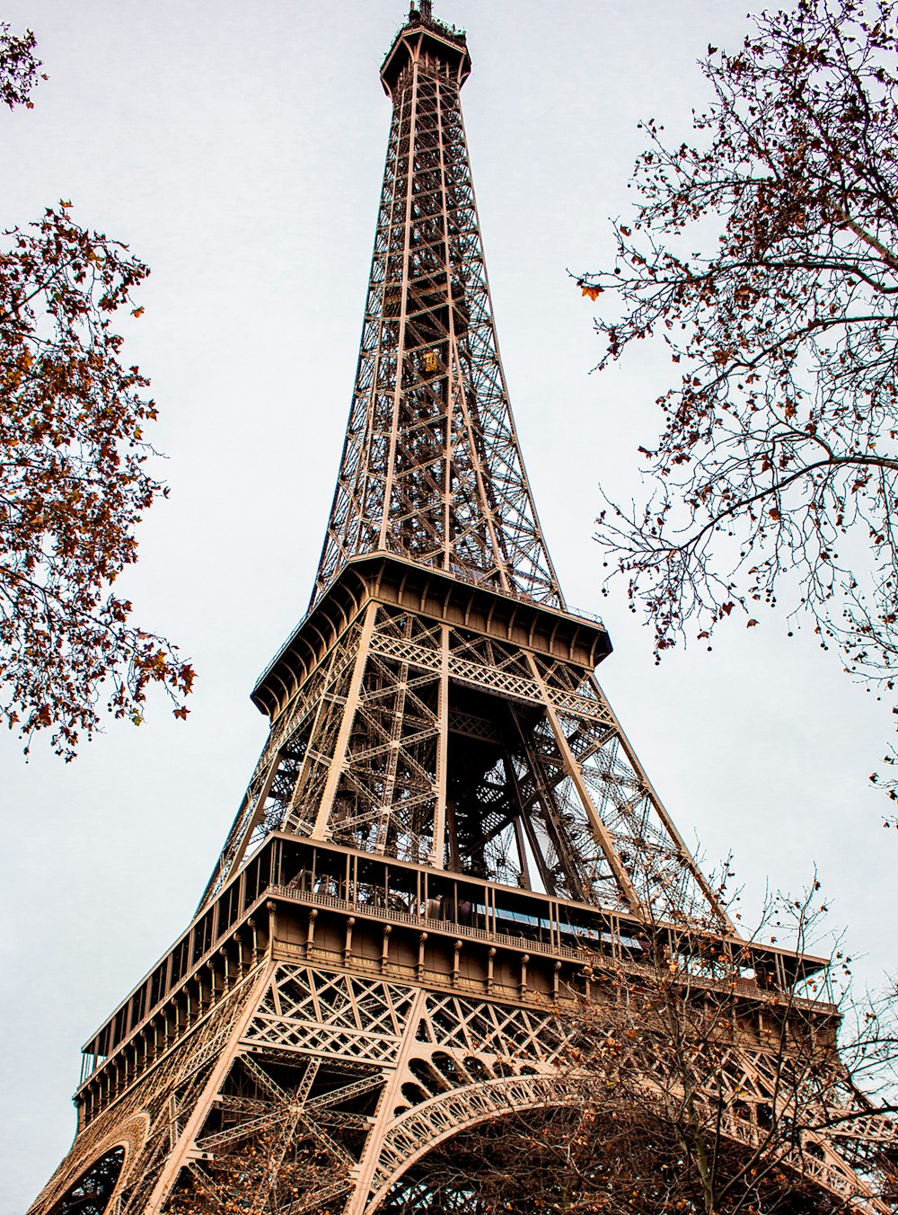 the eiffel tower towering over the city of paris