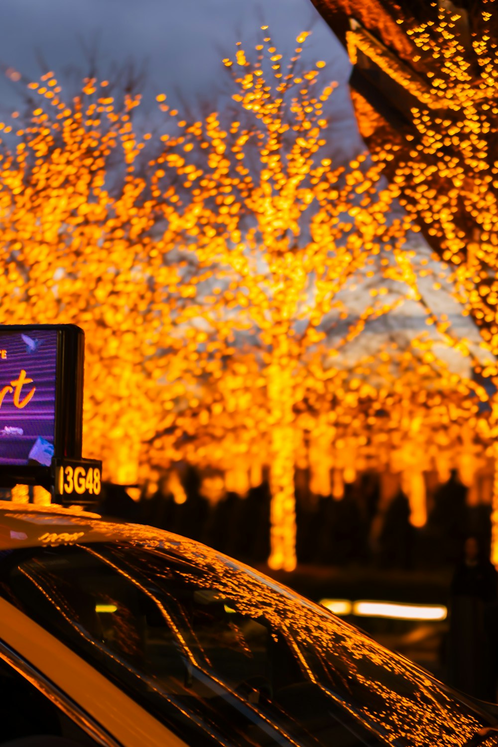 a taxi cab parked in front of a lighted tree