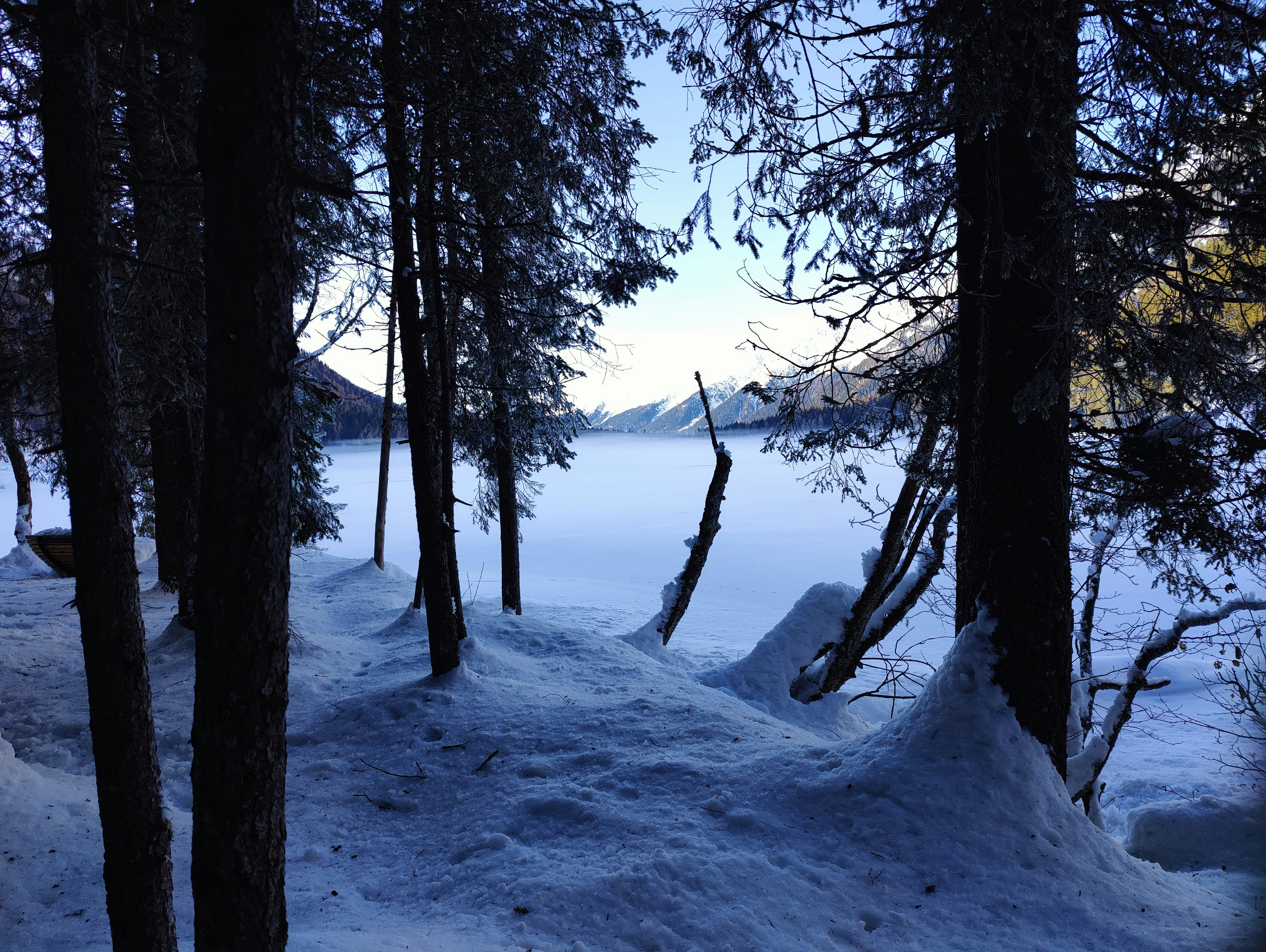 Photo by madmartigand