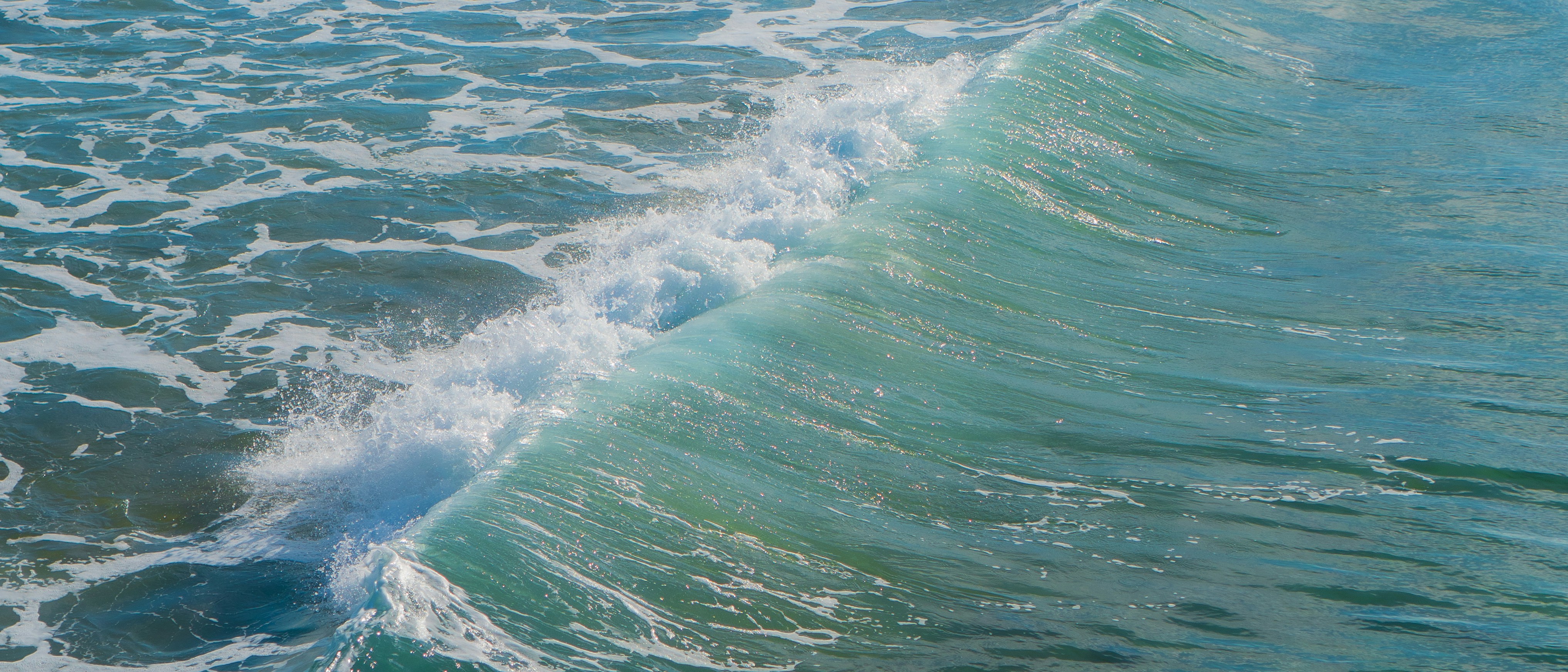 Photo by zhenyao_photo