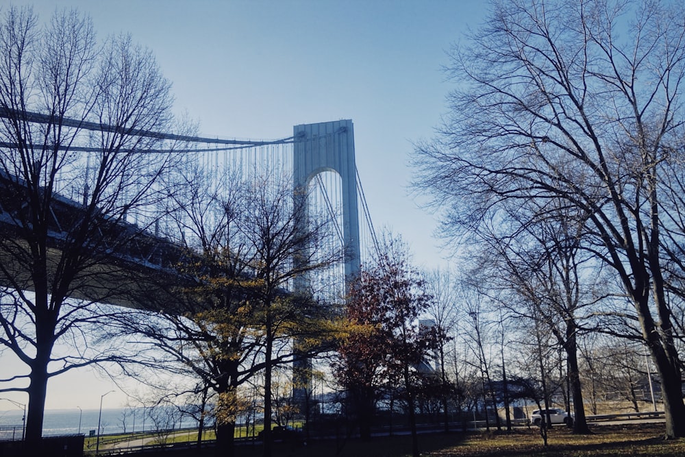 a view of a bridge from a park