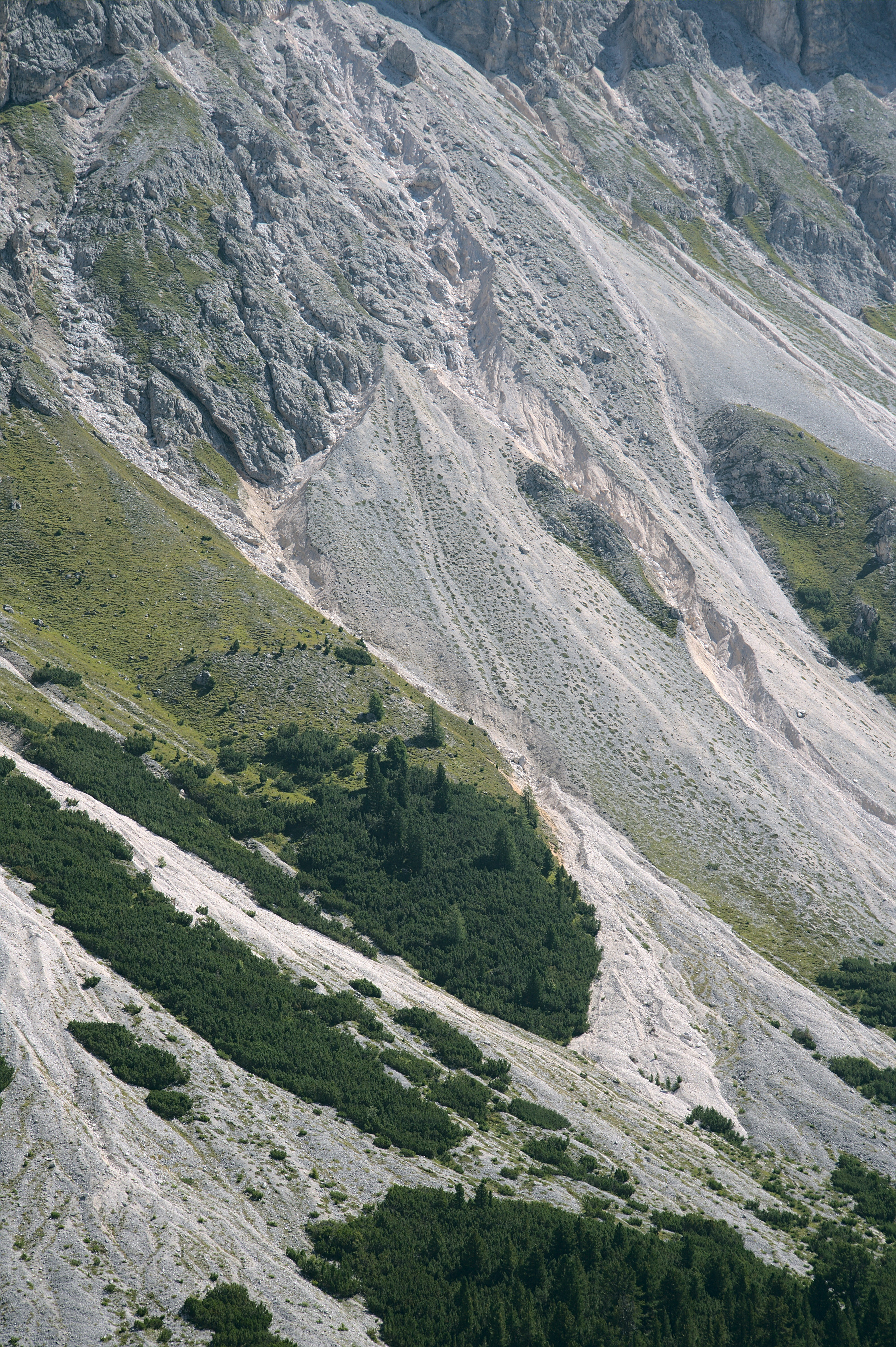 Photo by soffia_chen