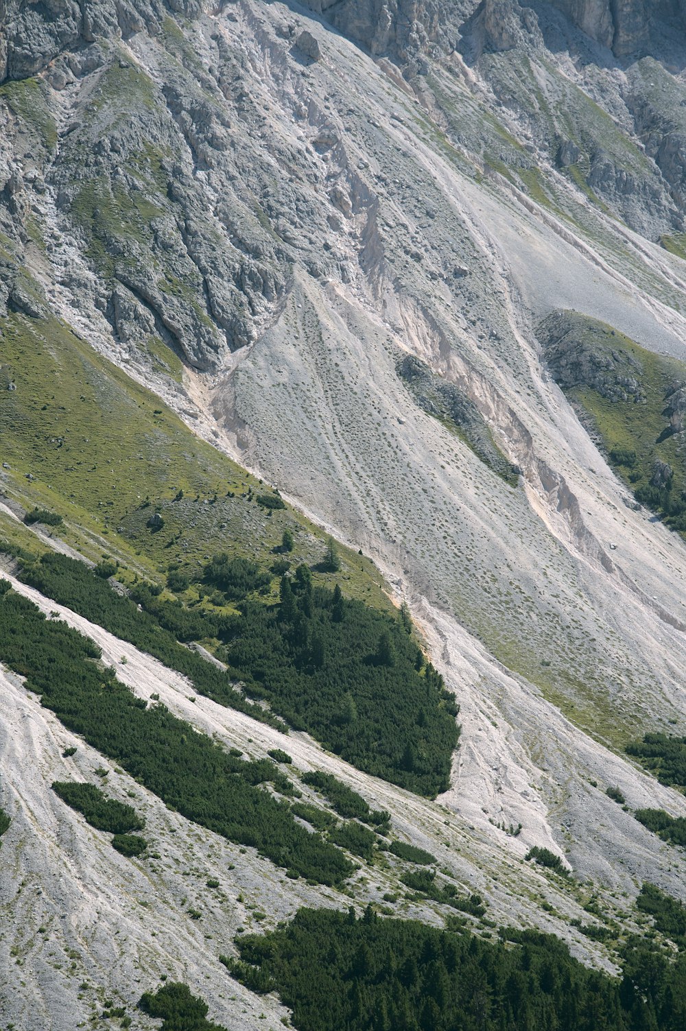 a view of a mountain side with trees on the side