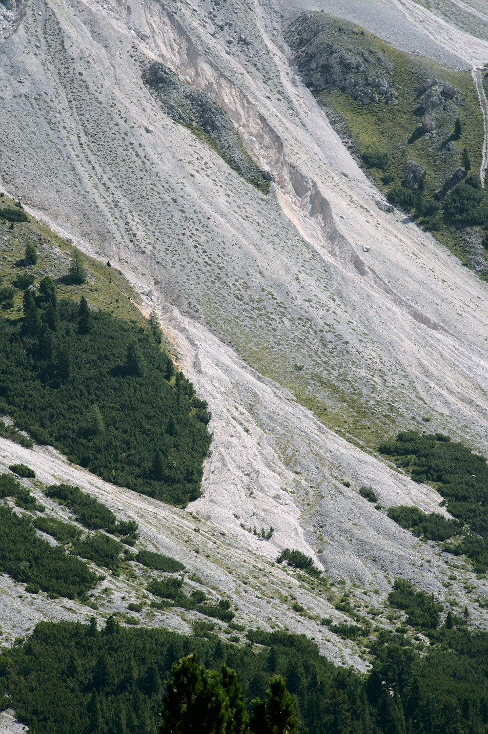 a view of a mountain side with trees on the side