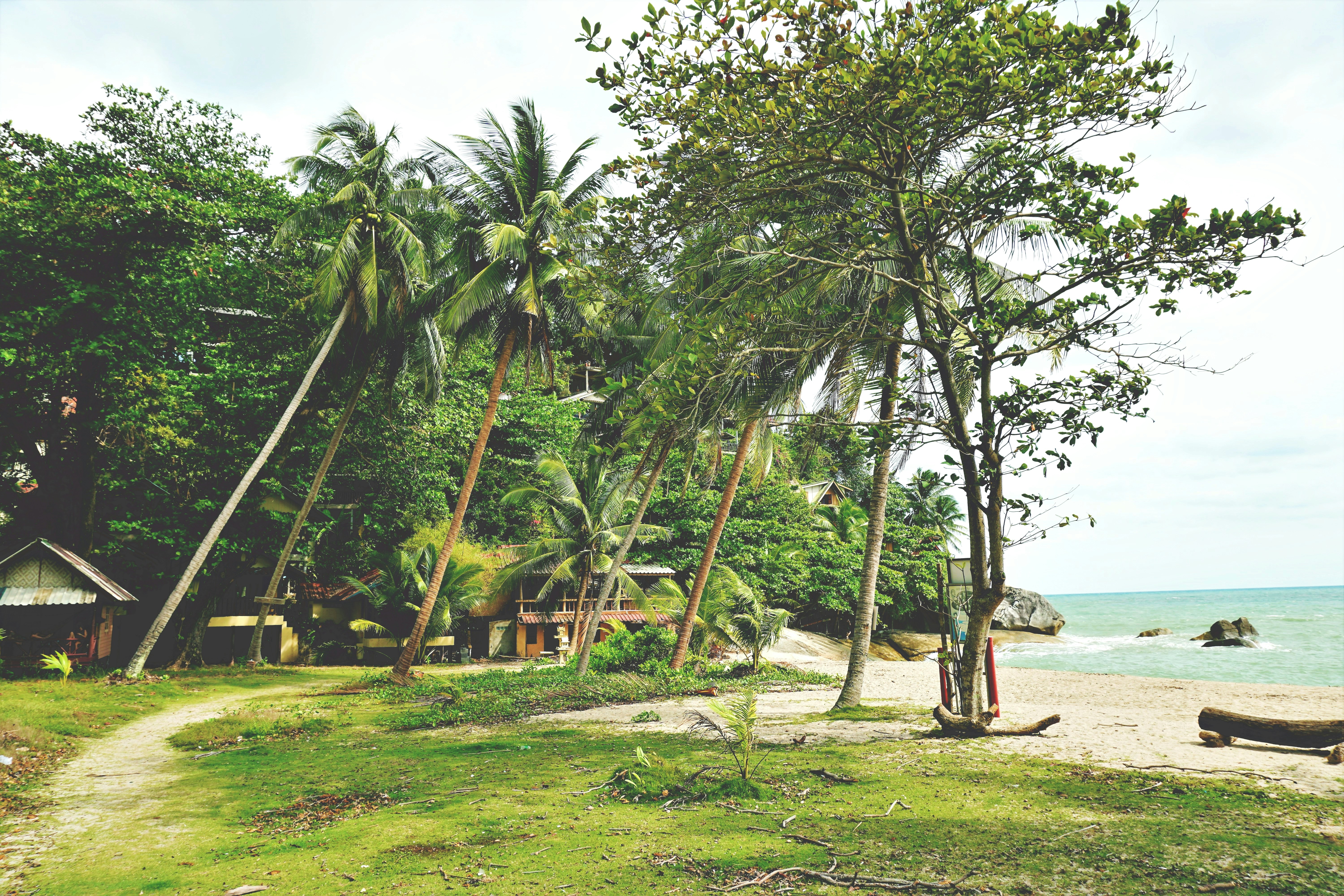 a beach area with a path leading to the water