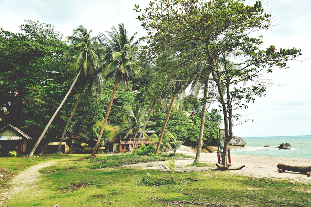 a beach area with a path leading to the water