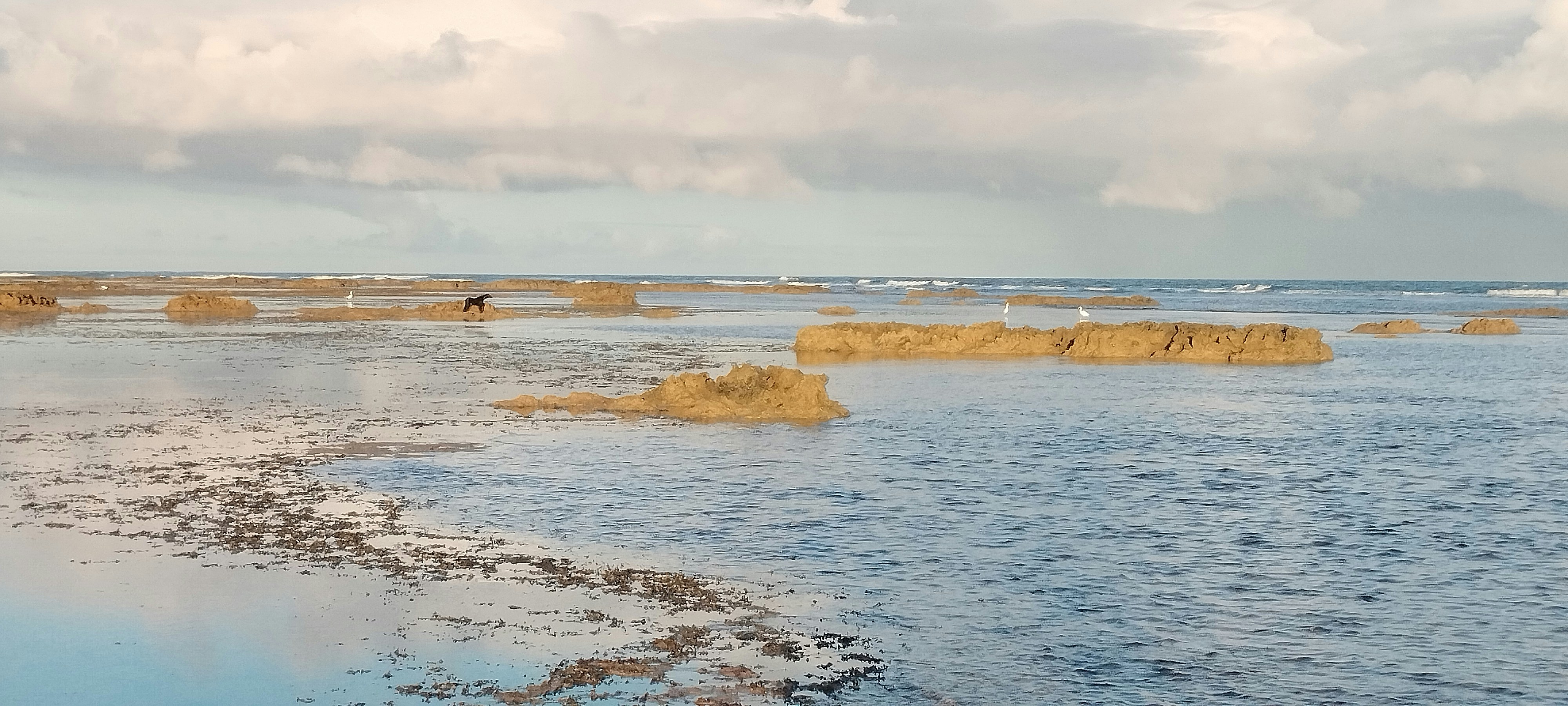 Photo by lumirandaunsplash