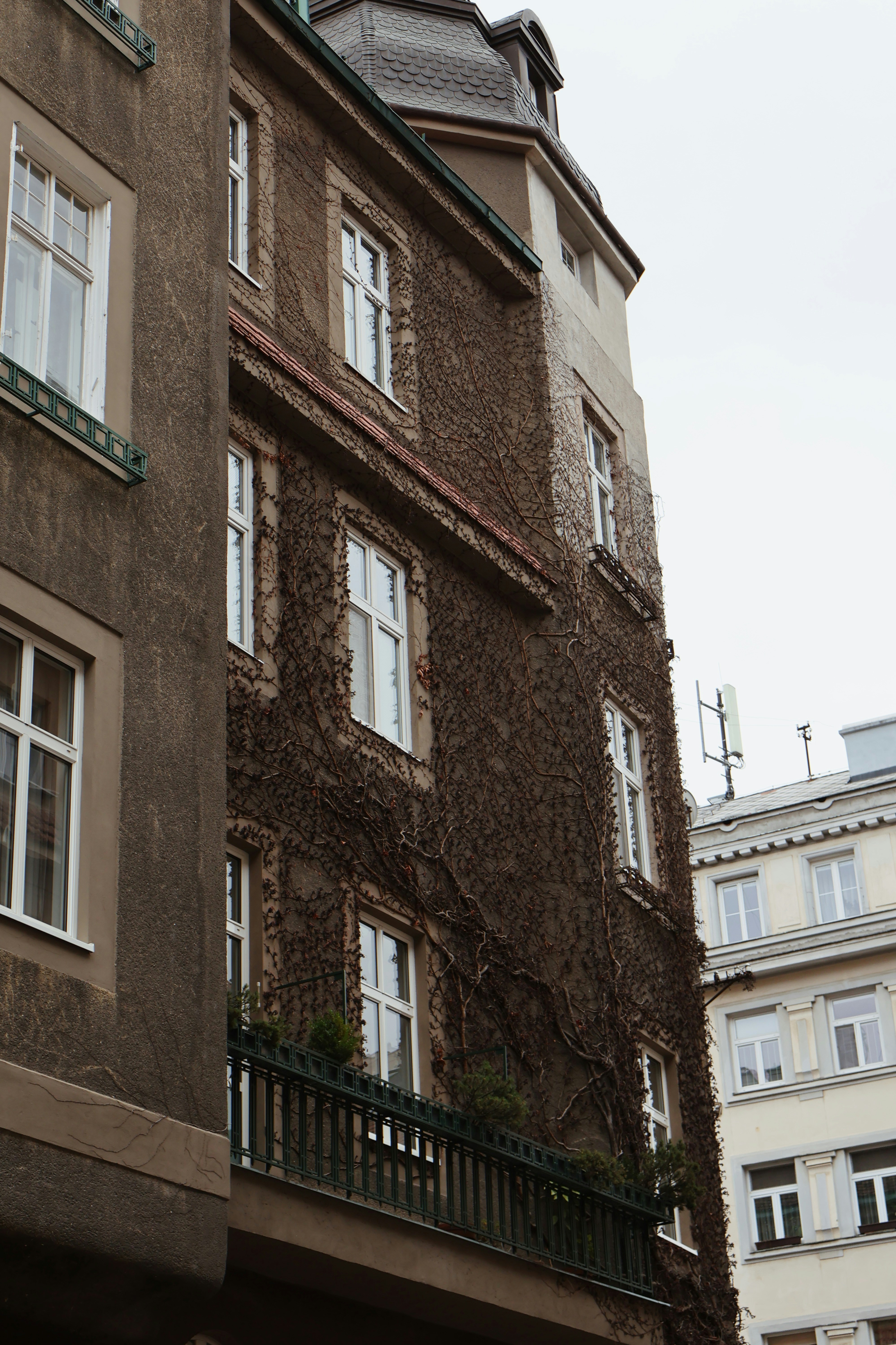 Photo by emotionaltangerine