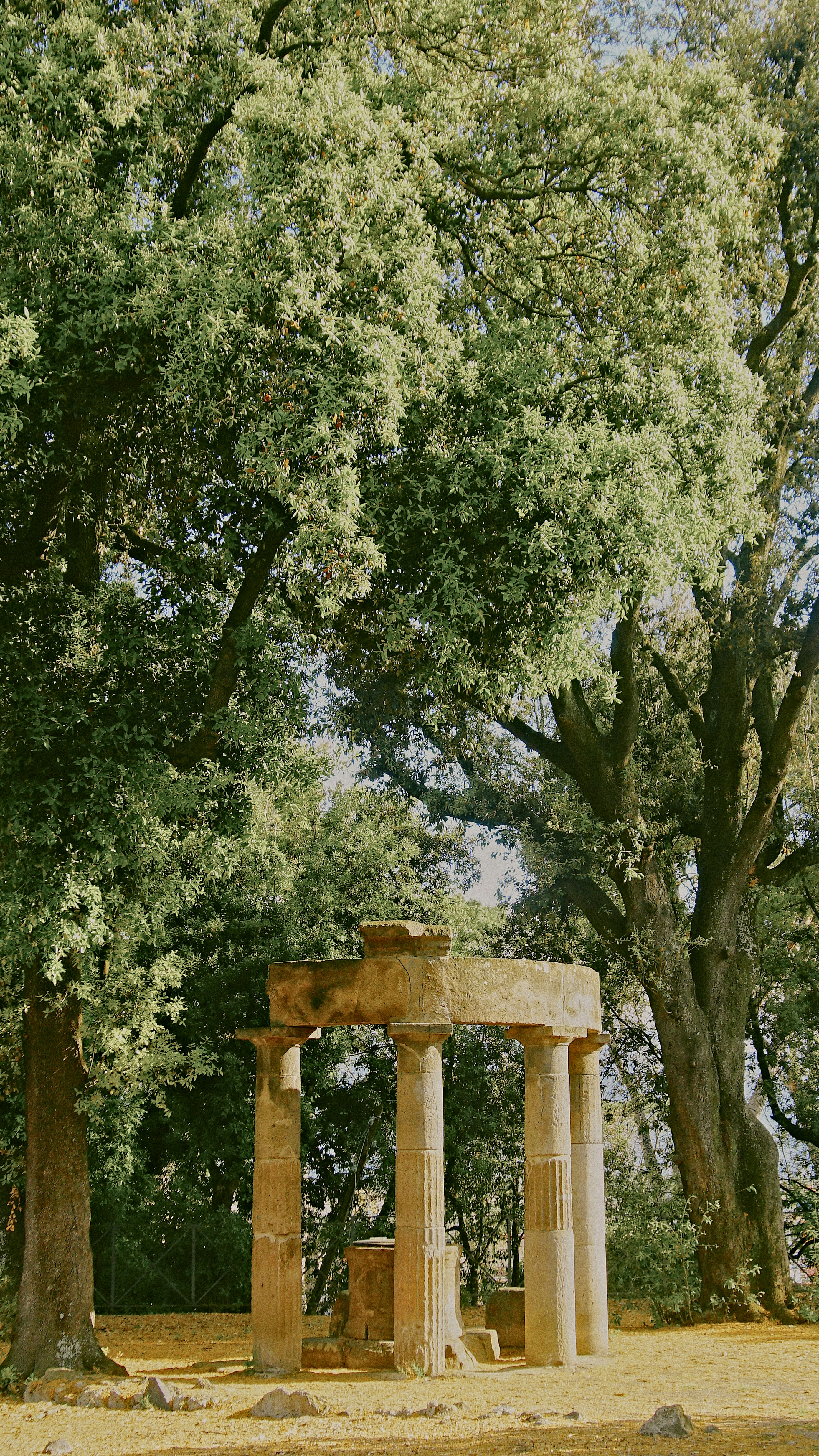 a stone structure sitting in the middle of a forest