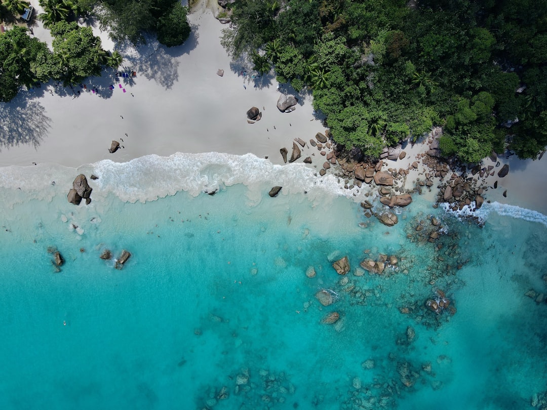 an aerial view of a beach with blue water,