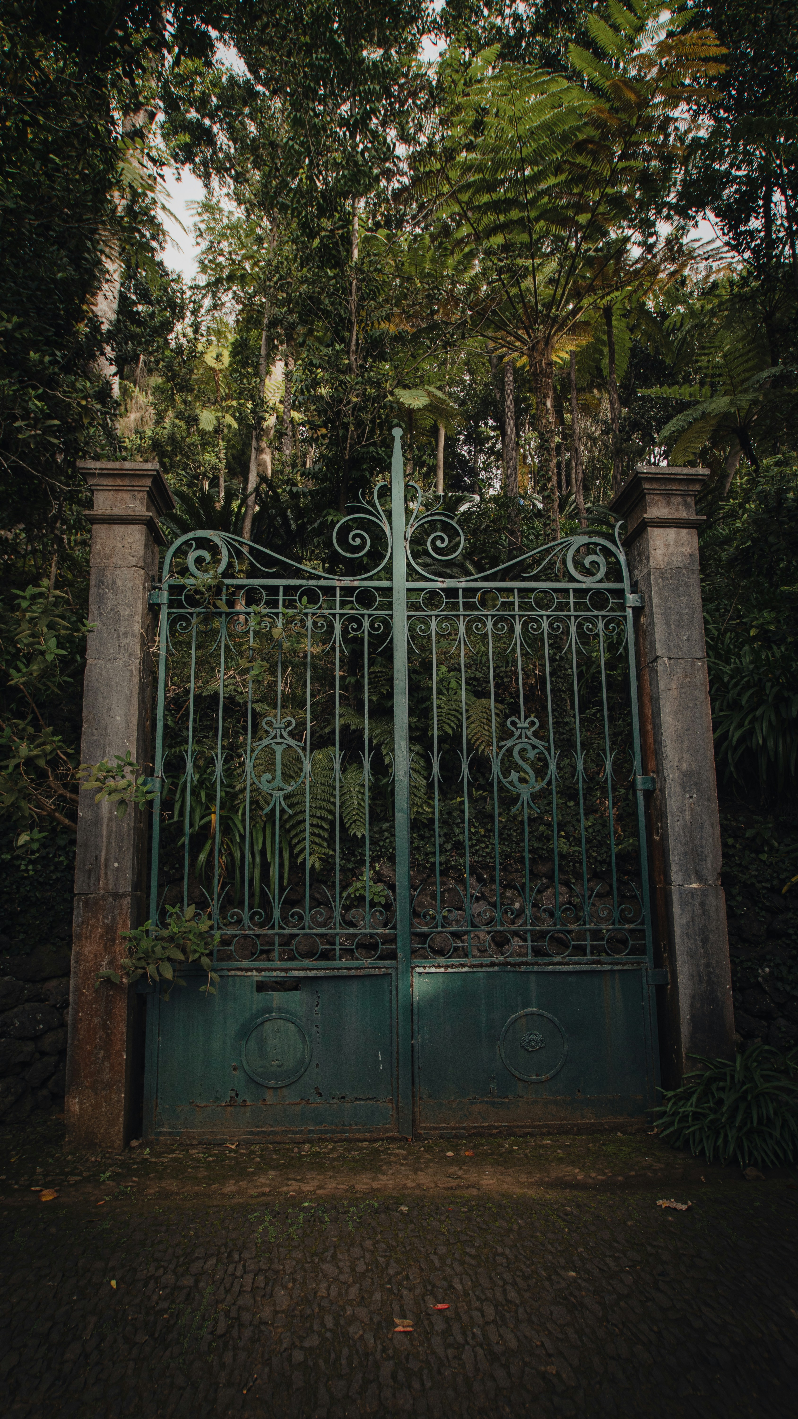 Photo by milica_spasojevic