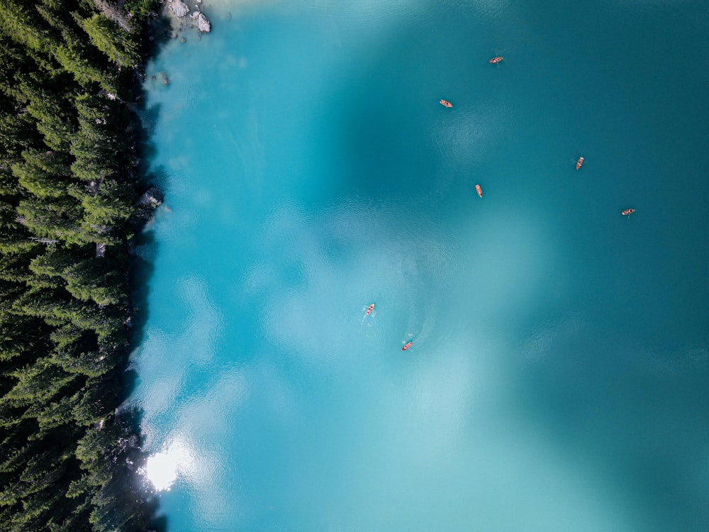 a group of people floating on top of a blue lake