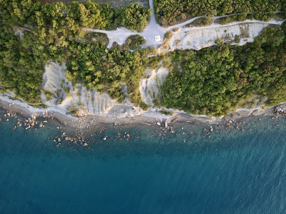 a bird's eye view of a sandy beach surrounded by trees