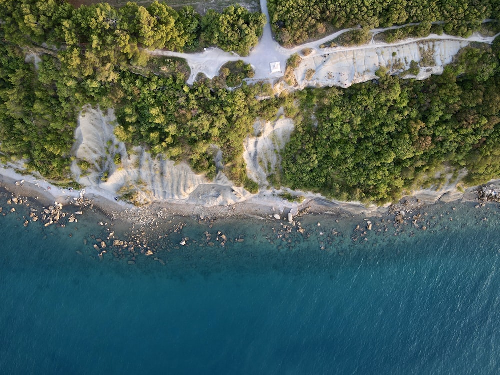 A vista de pájaro de una playa de arena rodeada de árboles