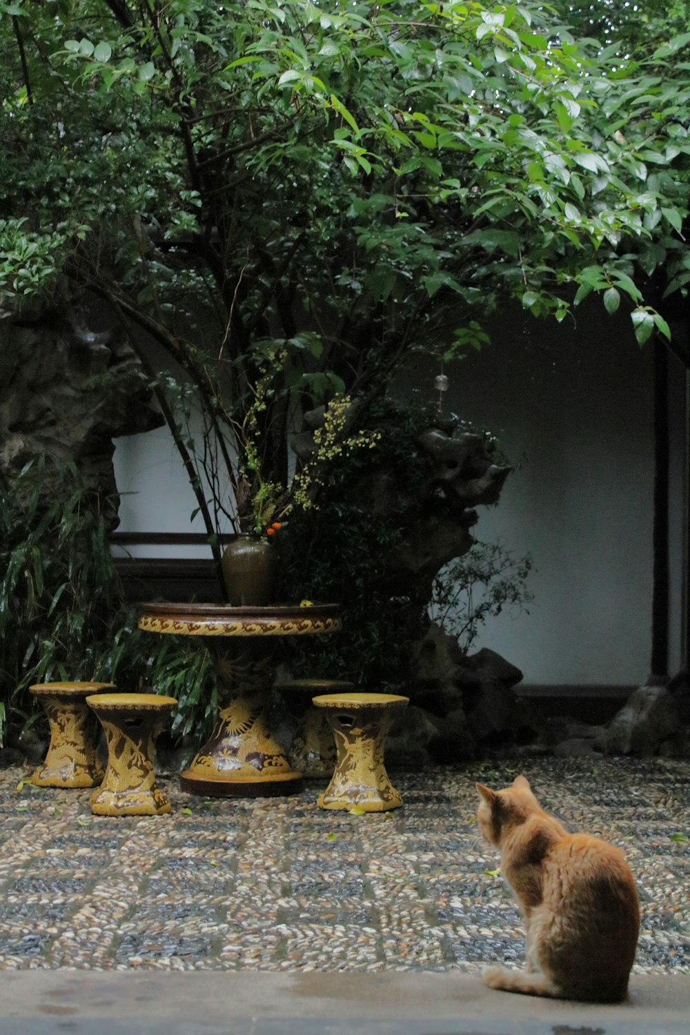 a cat sitting on the ground in front of a fountain