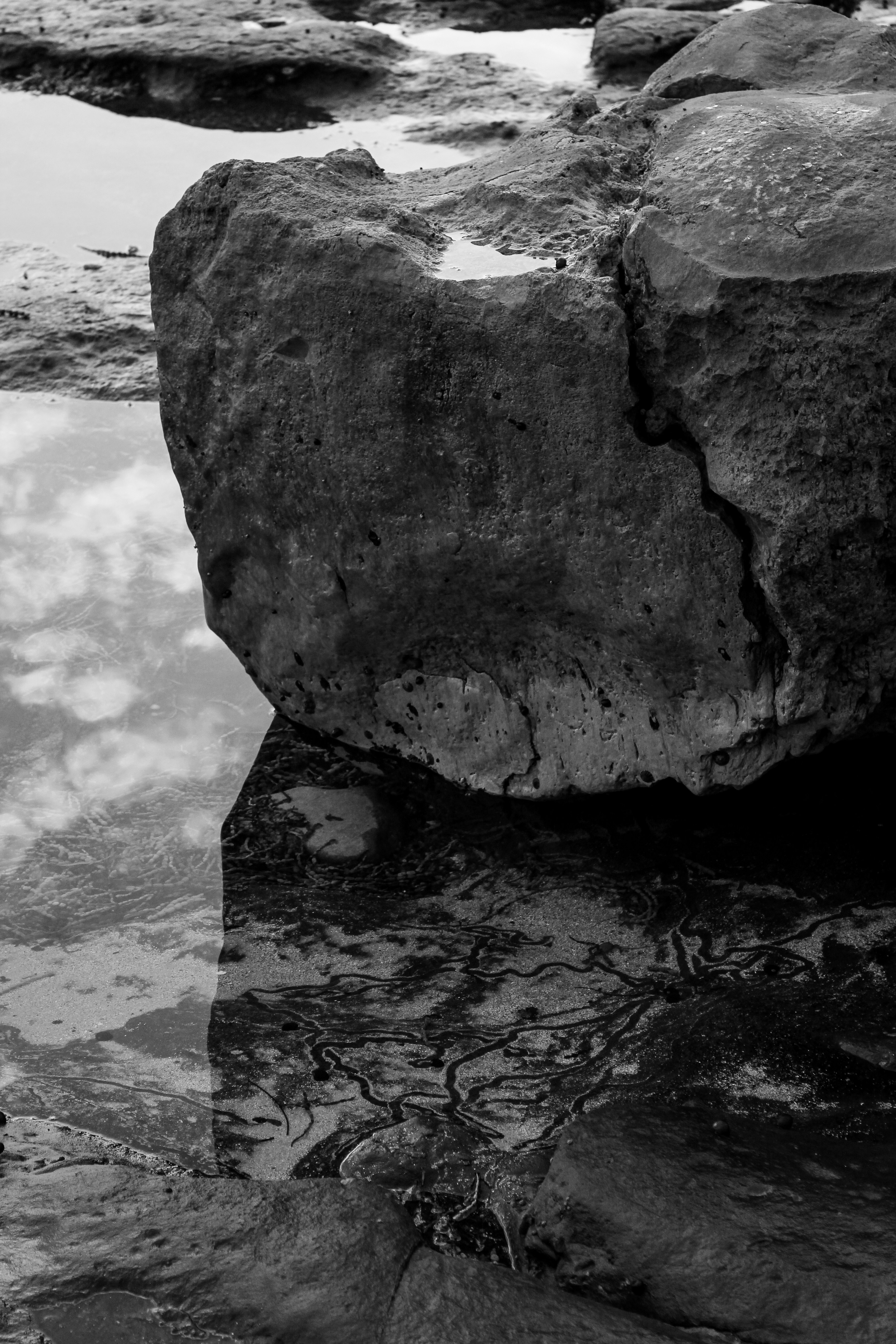 Photo by light_and_hope