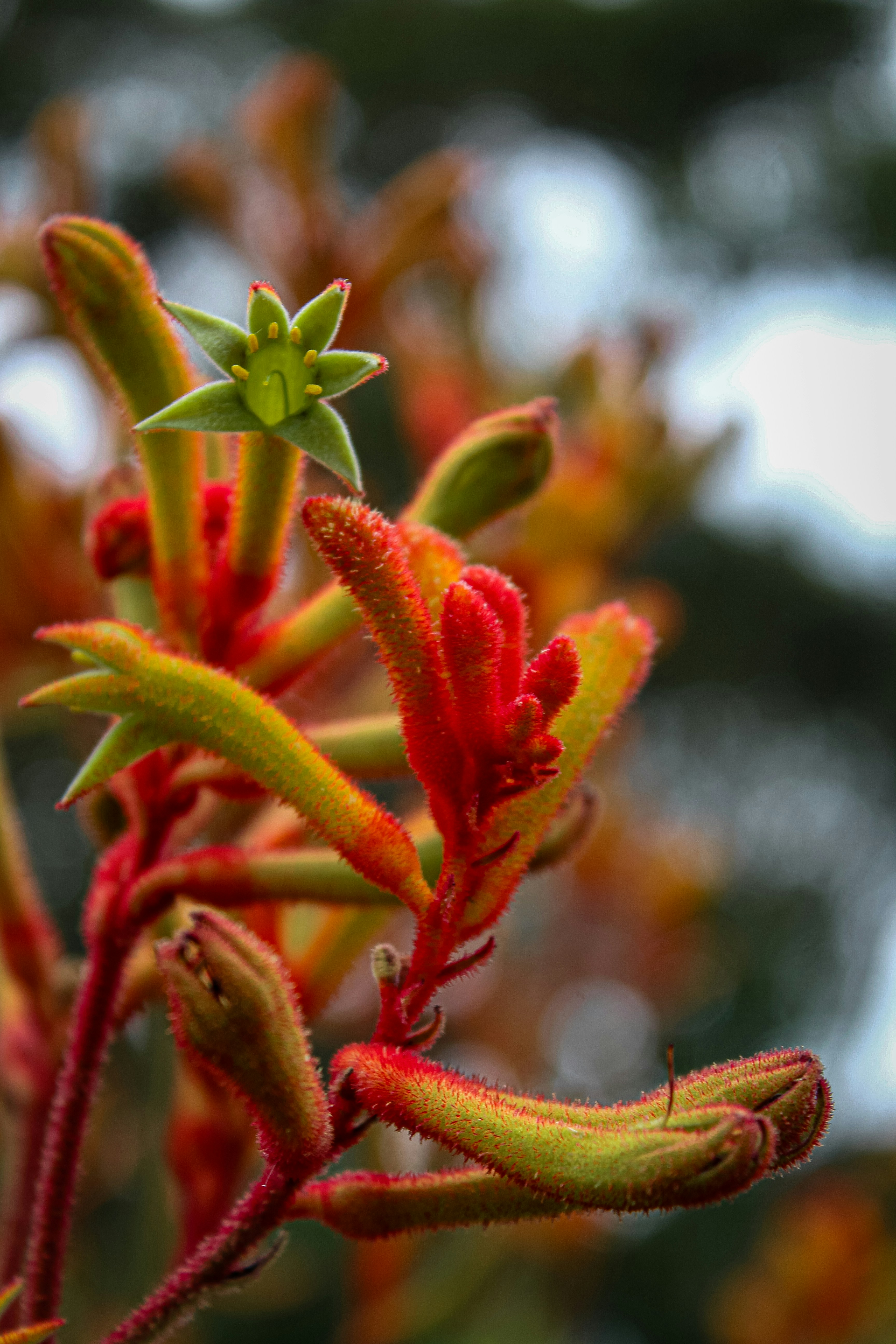 Photo by light_and_hope