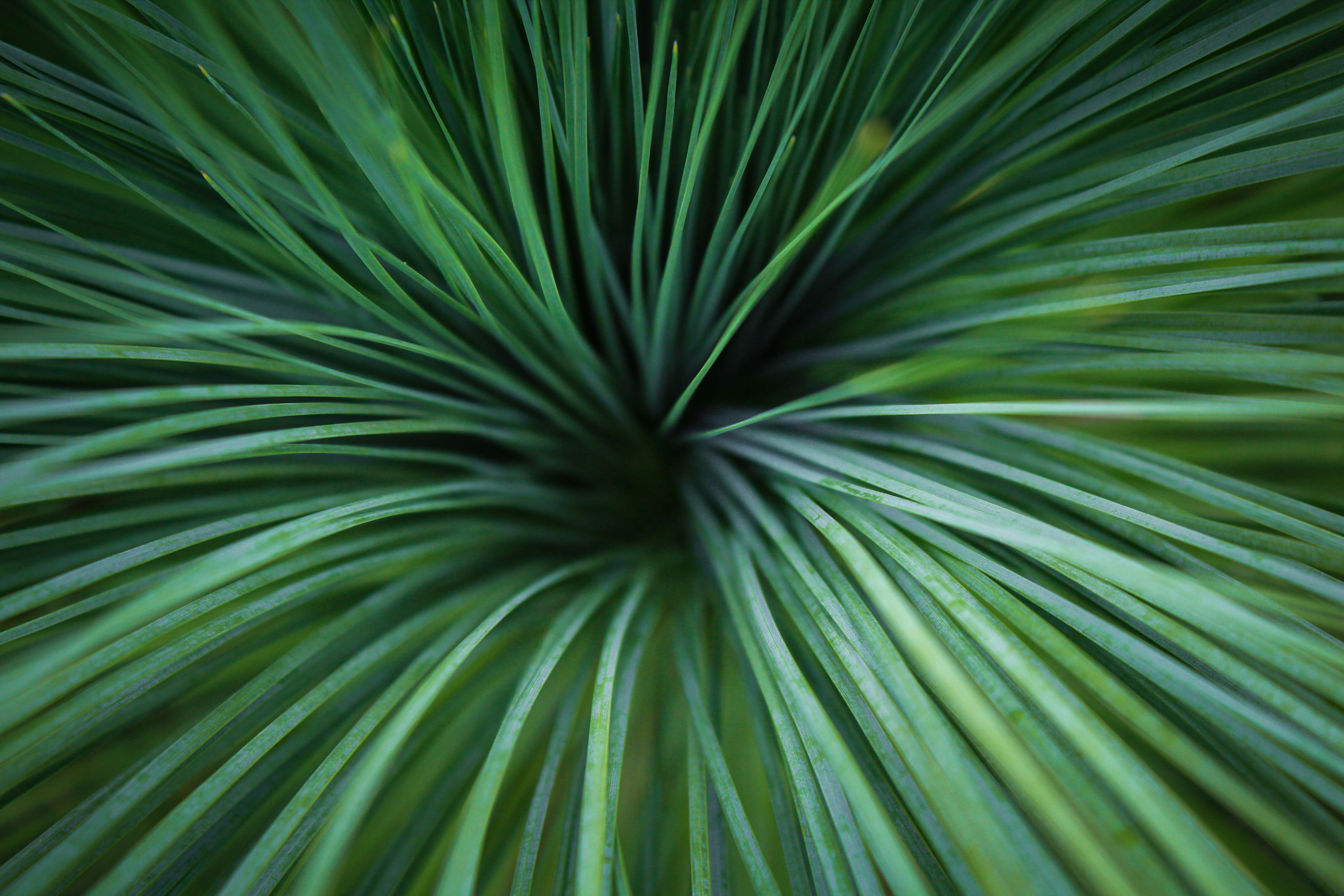 Photo by light_and_hope