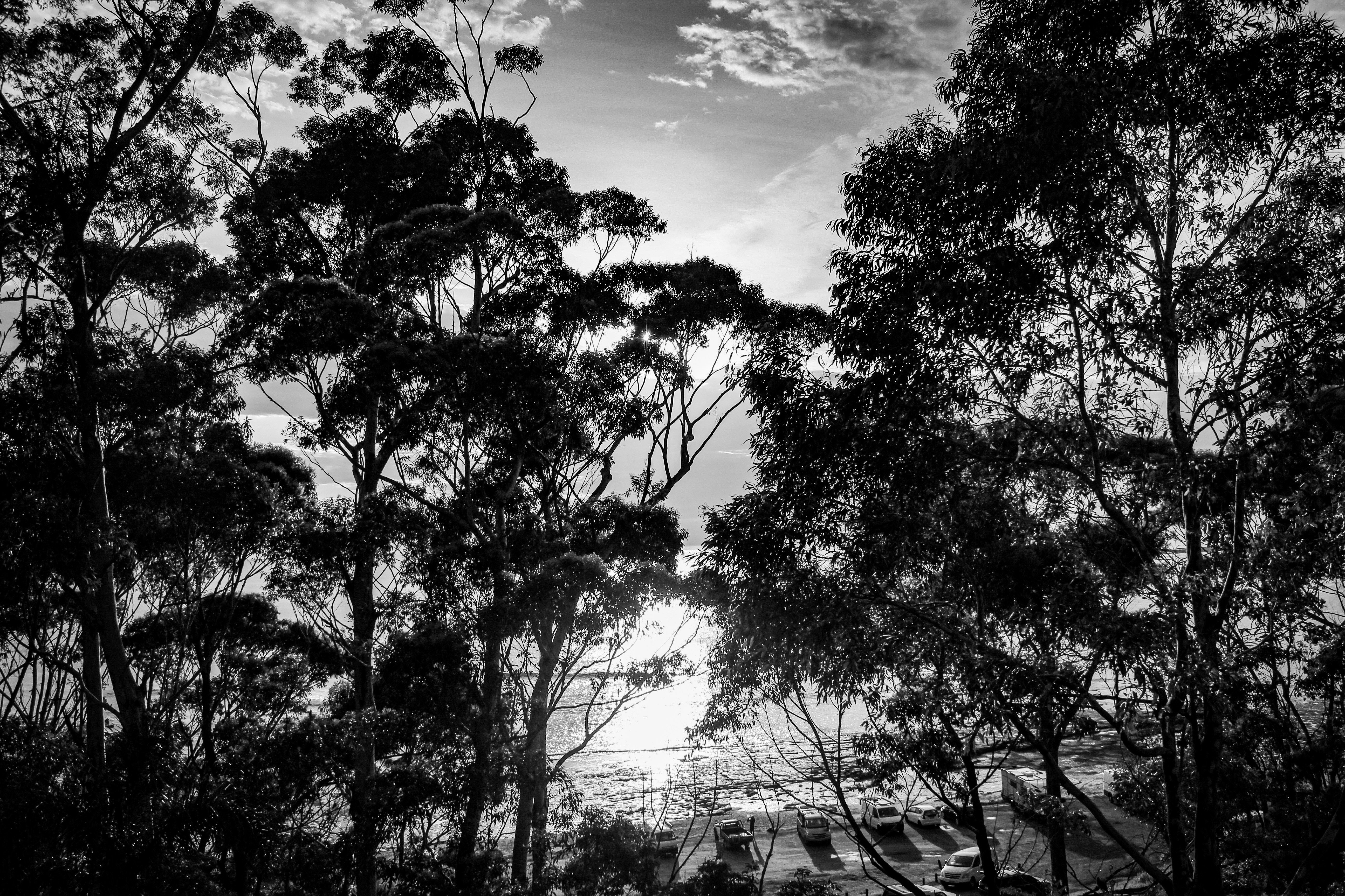 Photo by light_and_hope