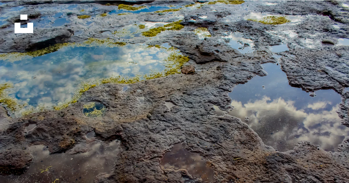 Gray Puddle A puddle of water surrounded by rocks and grass photo – Free Grey Image ...