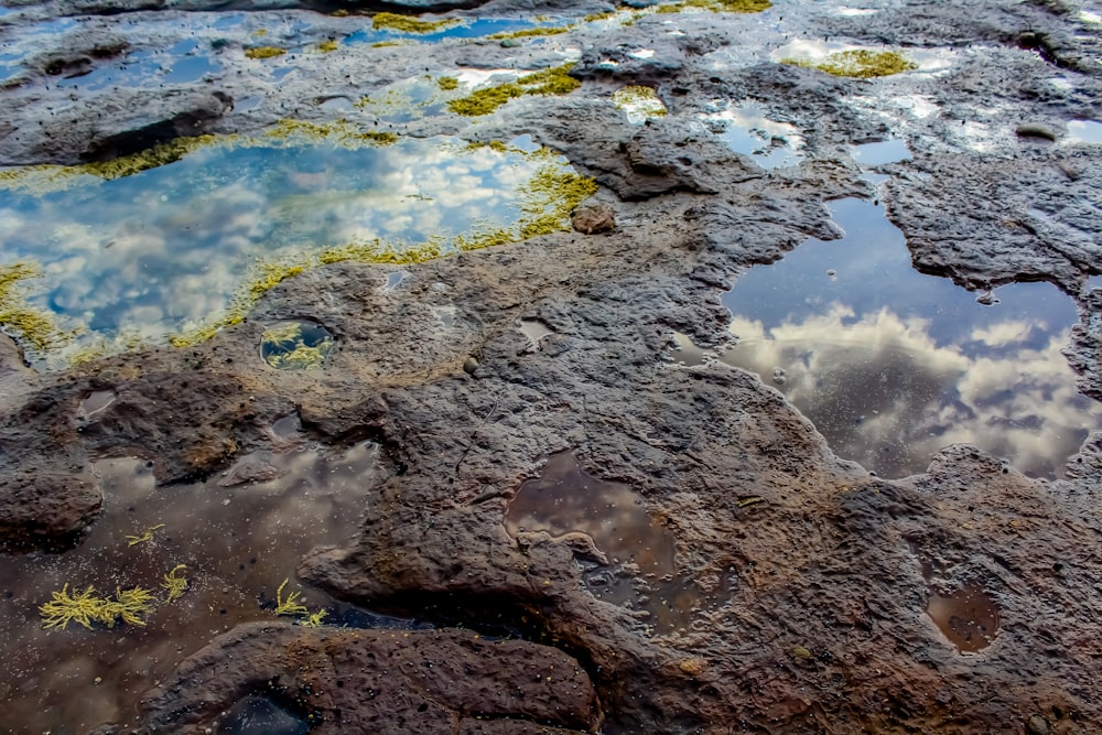 a puddle of water surrounded by rocks and grass