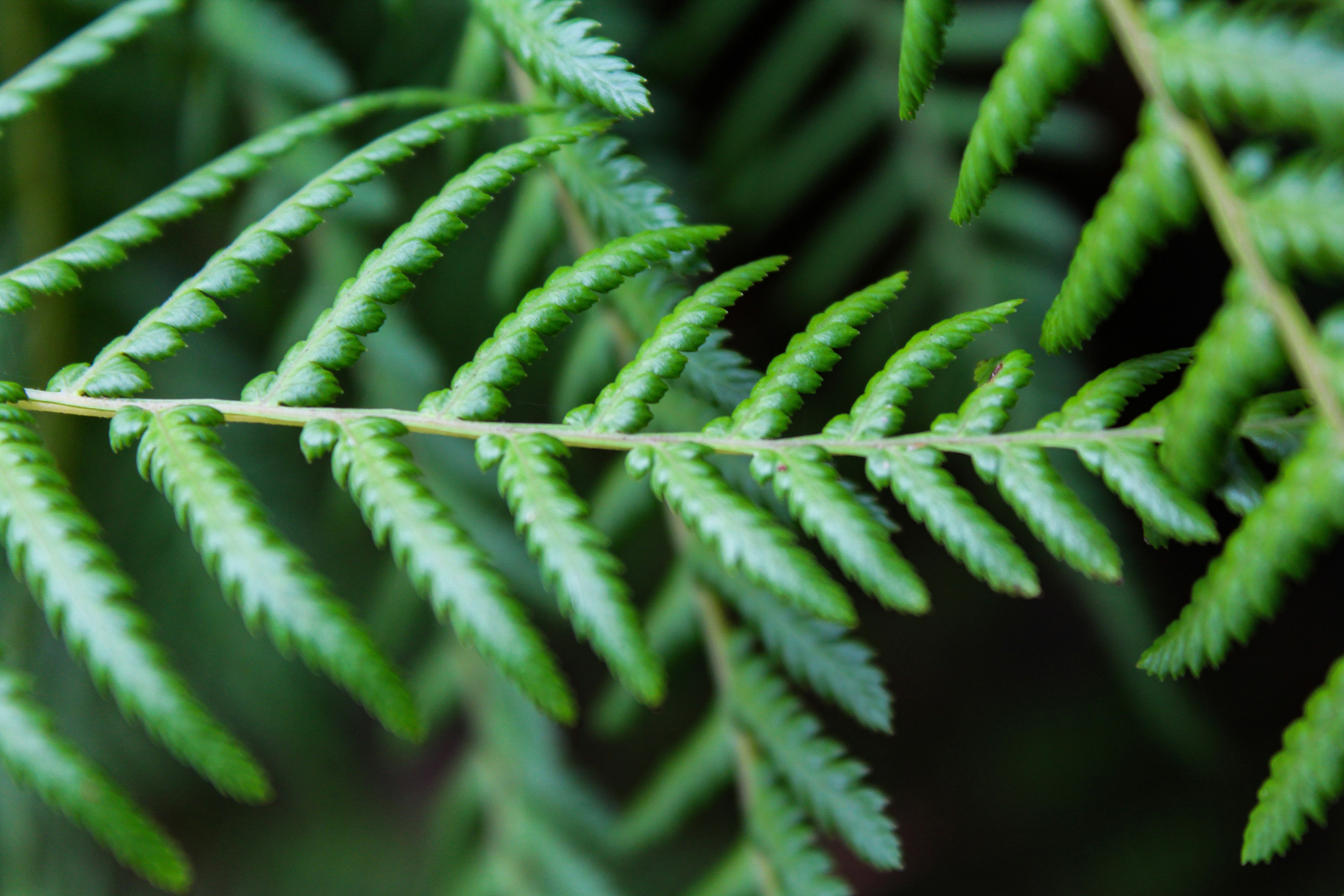 Photo by light_and_hope