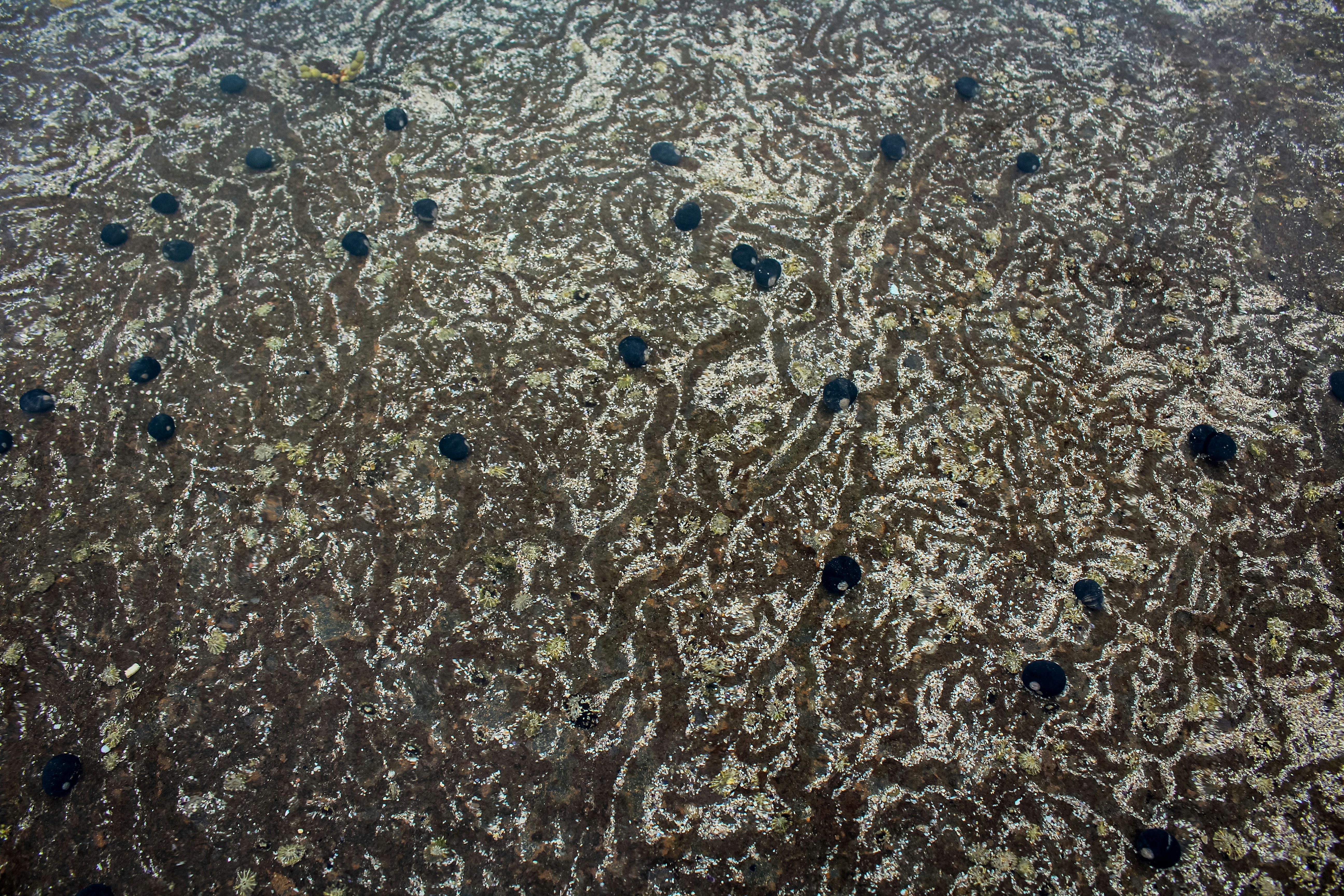 Photo by light_and_hope