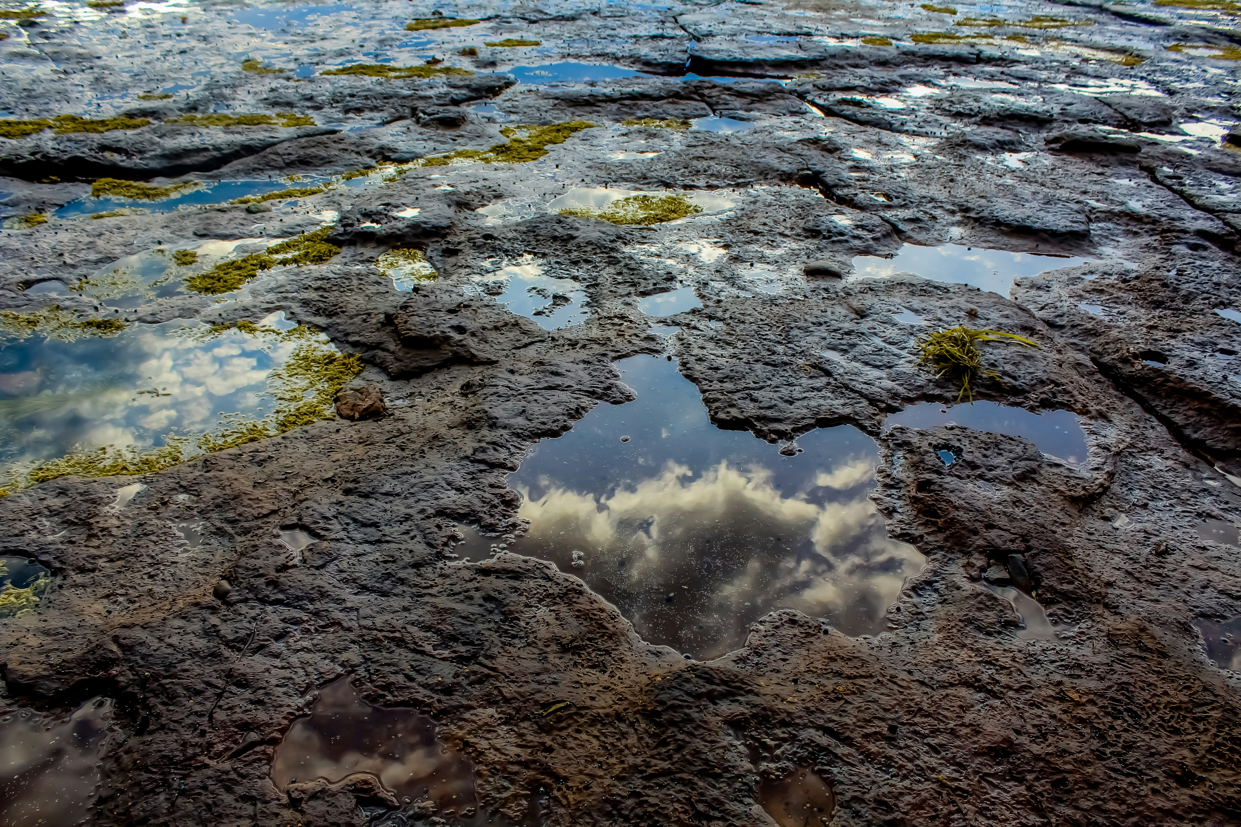 Photo by light_and_hope