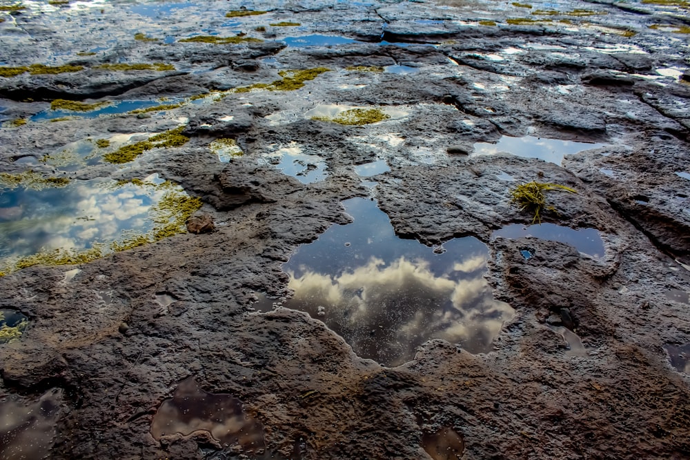 the sky is reflected in the puddles of water