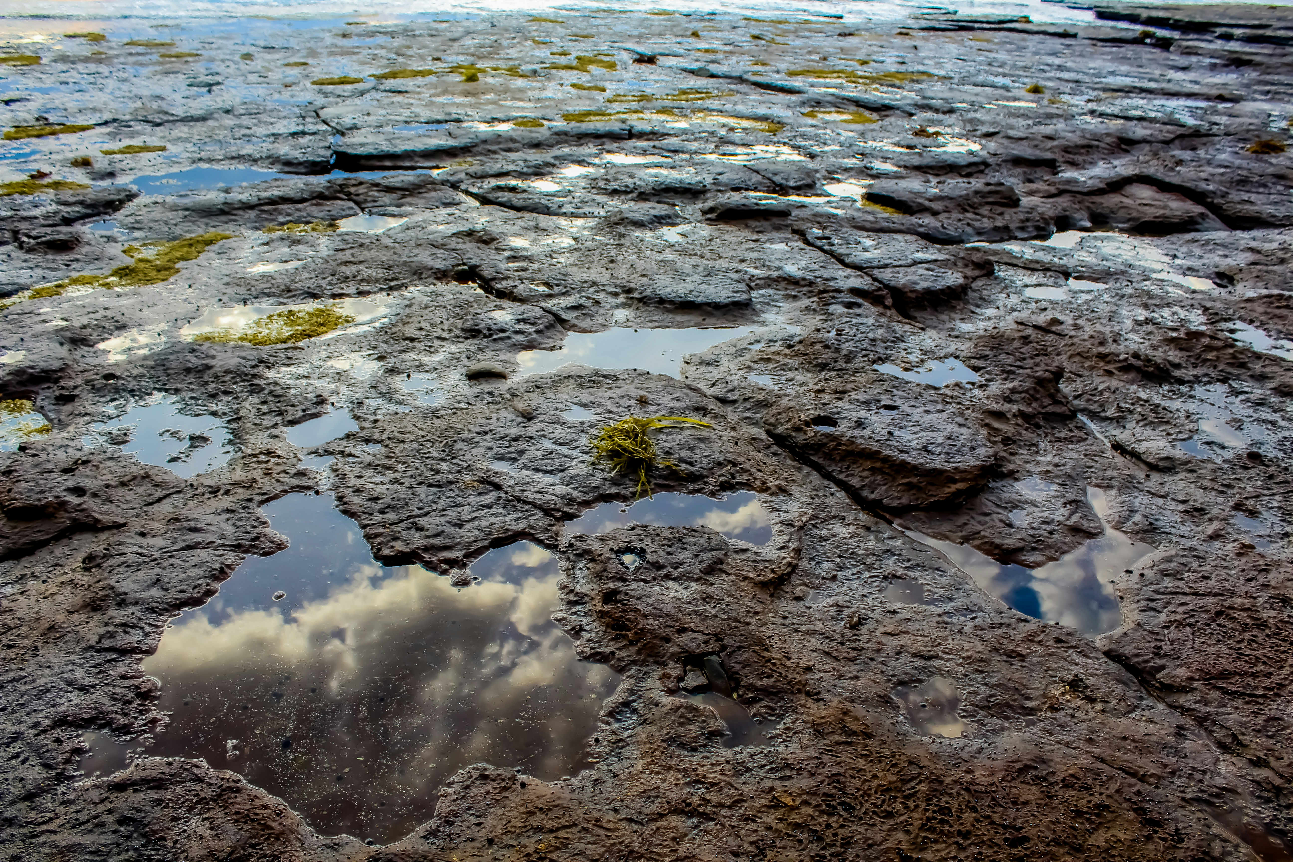 Photo by light_and_hope