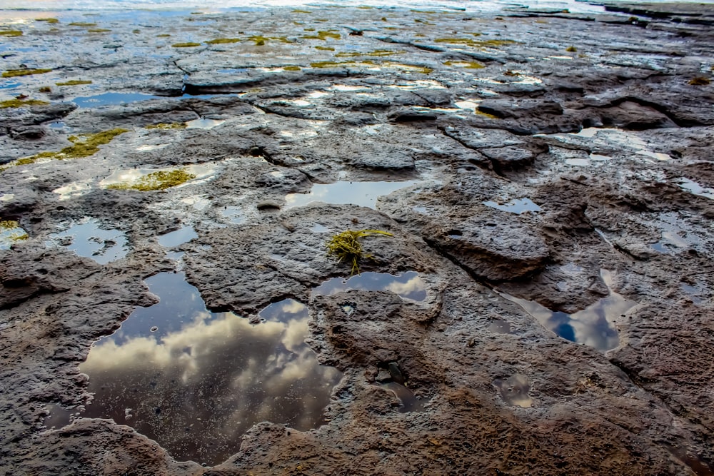 the sky is reflected in the puddles of water