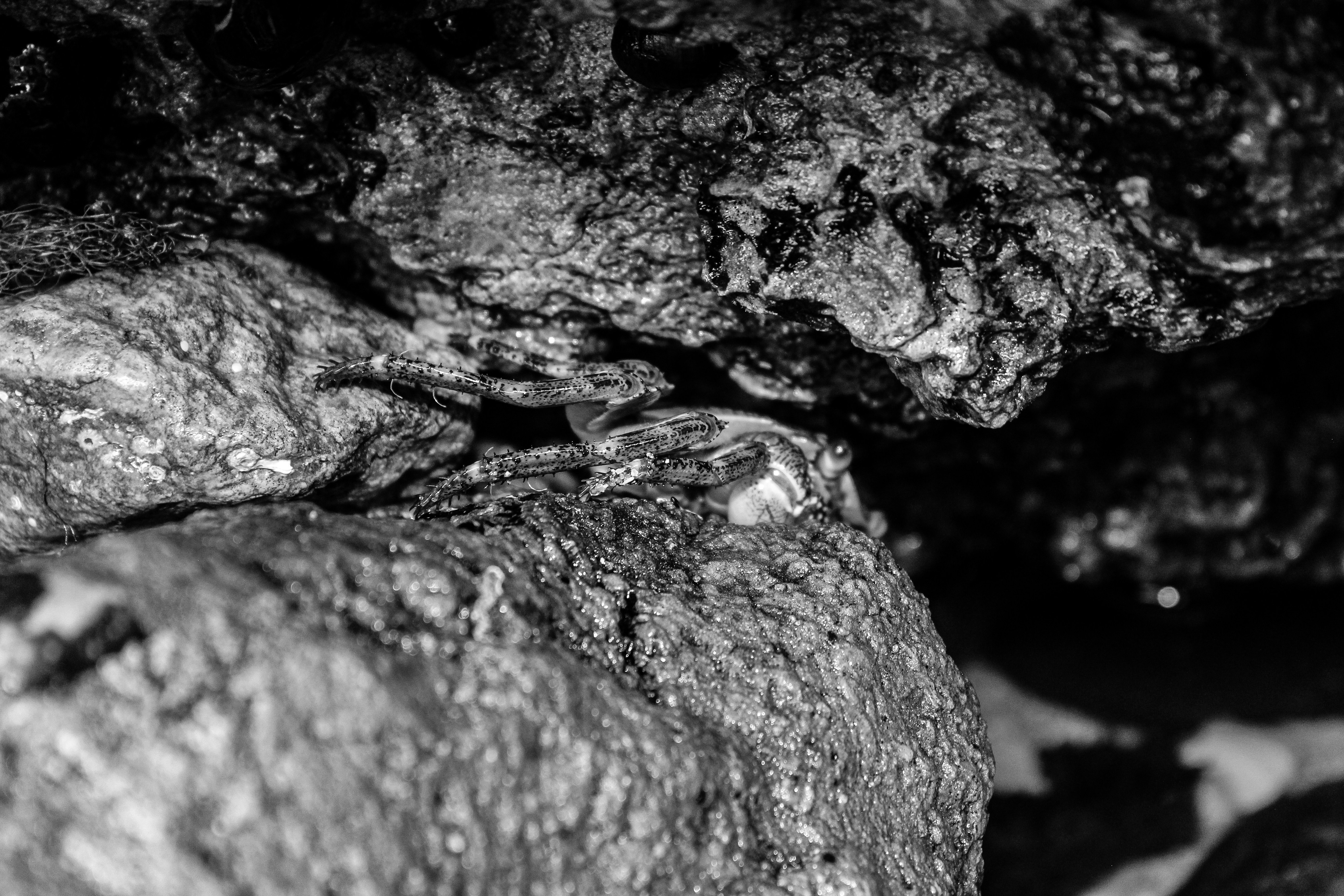 Photo by light_and_hope