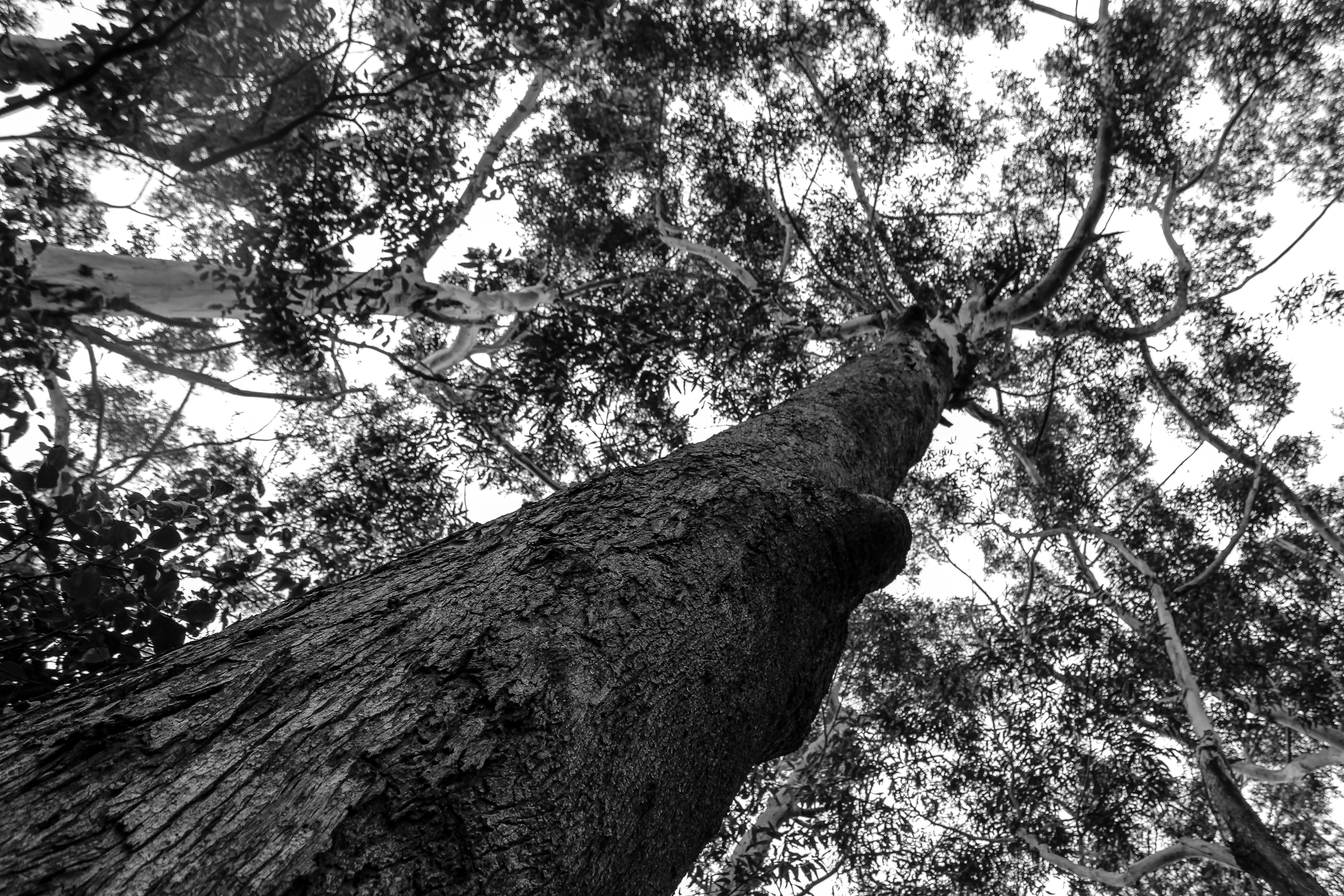 Photo by light_and_hope