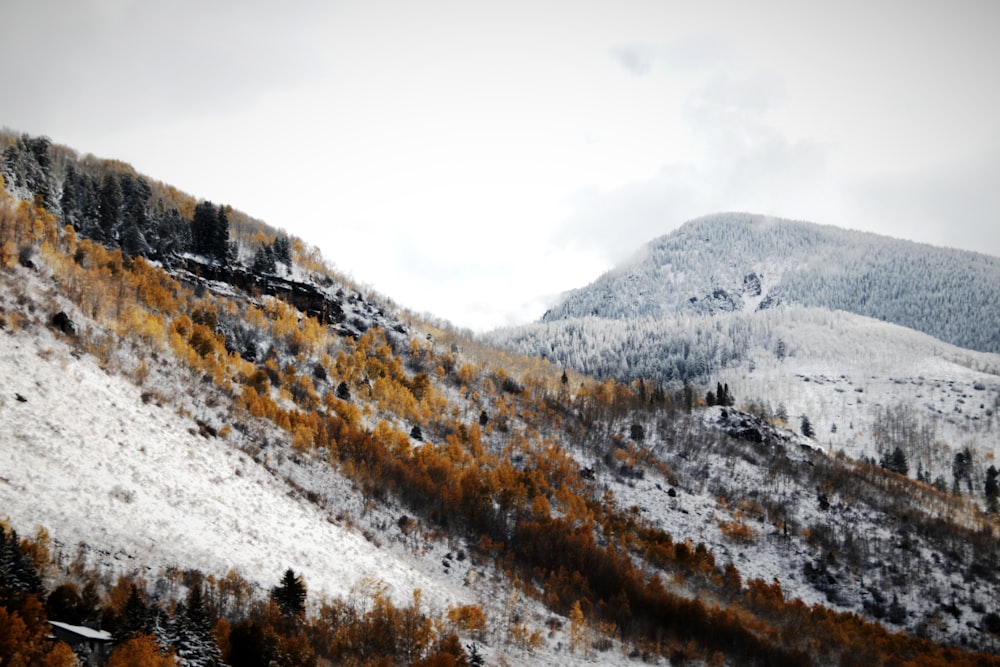 a snow covered mountain with trees on the side