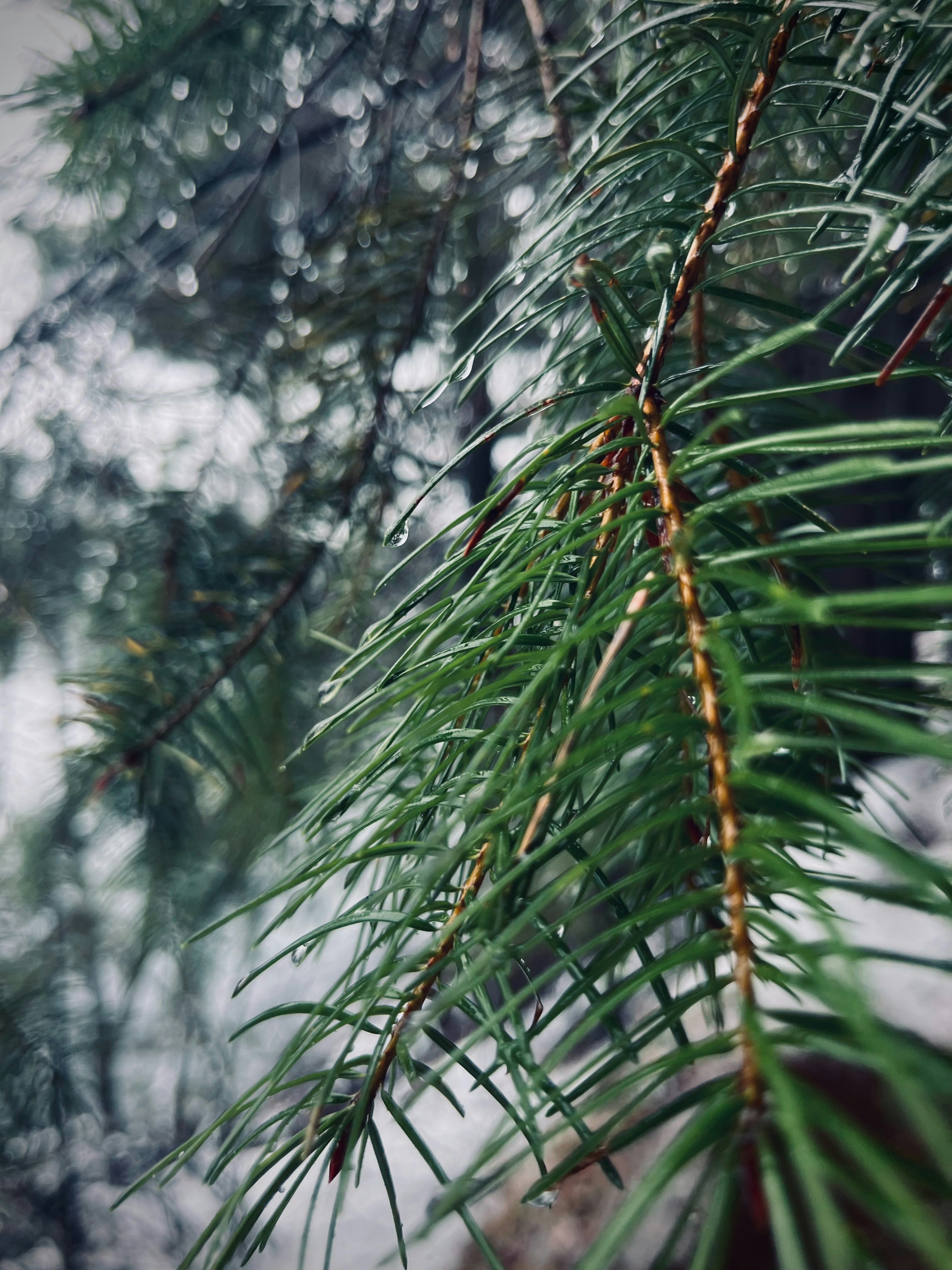 Photo by alinkaaa_13