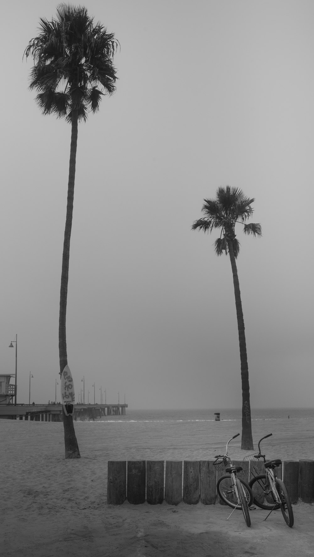 a bike parked next to a palm tree on a beach