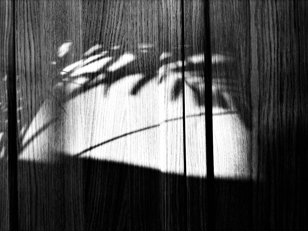 a shadow of a plant on a wooden surface