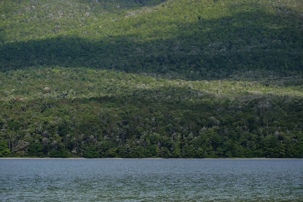 a large body of water surrounded by a lush green hillside