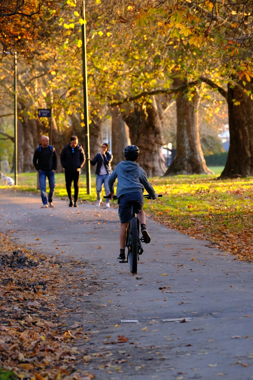 a man riding a bike down a leaf covered sidewalk