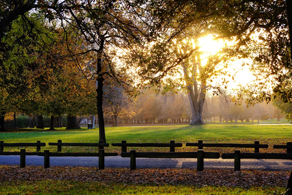 the sun shines through the trees in a park