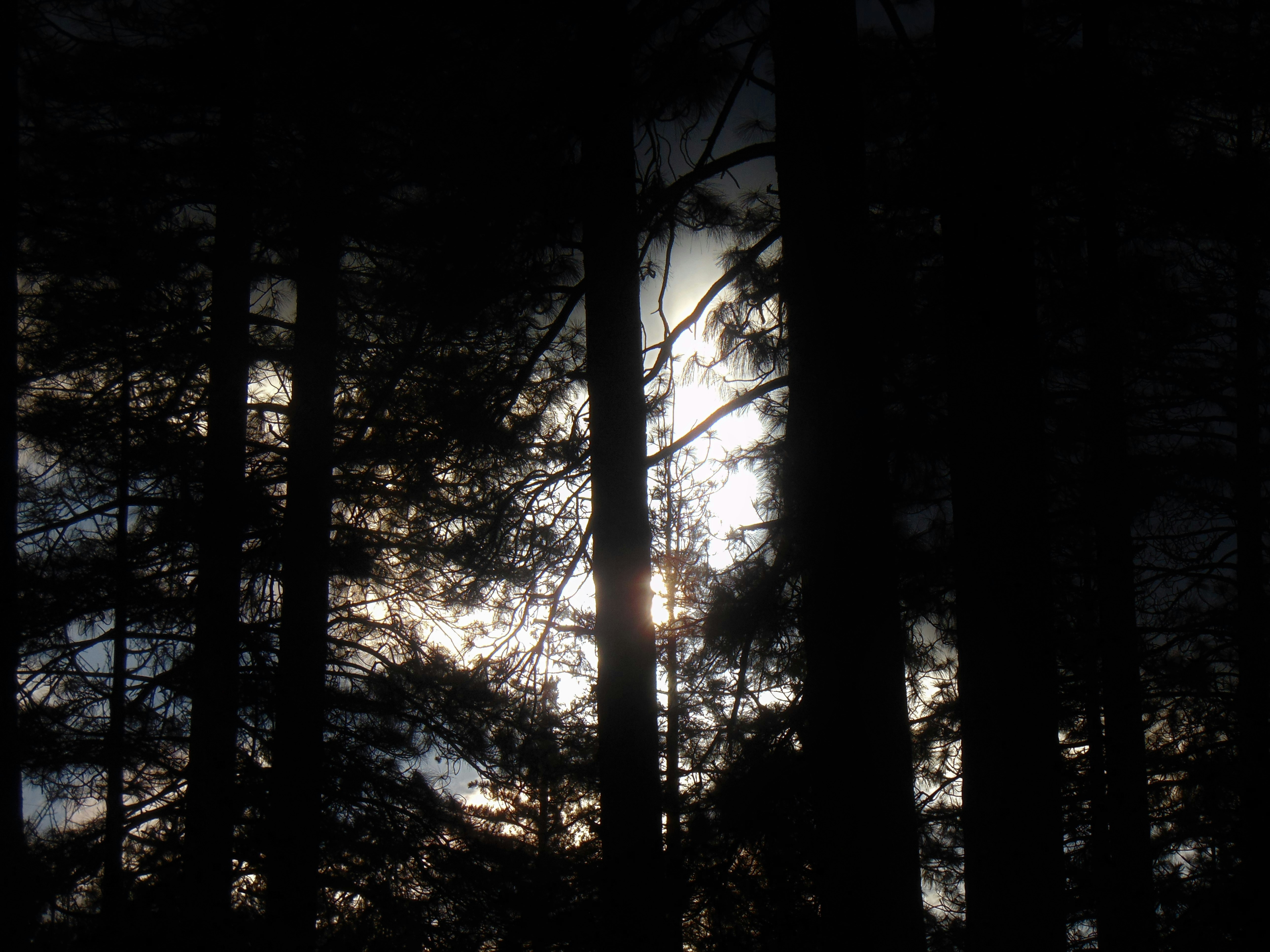 Photo by olivia_brewer2002