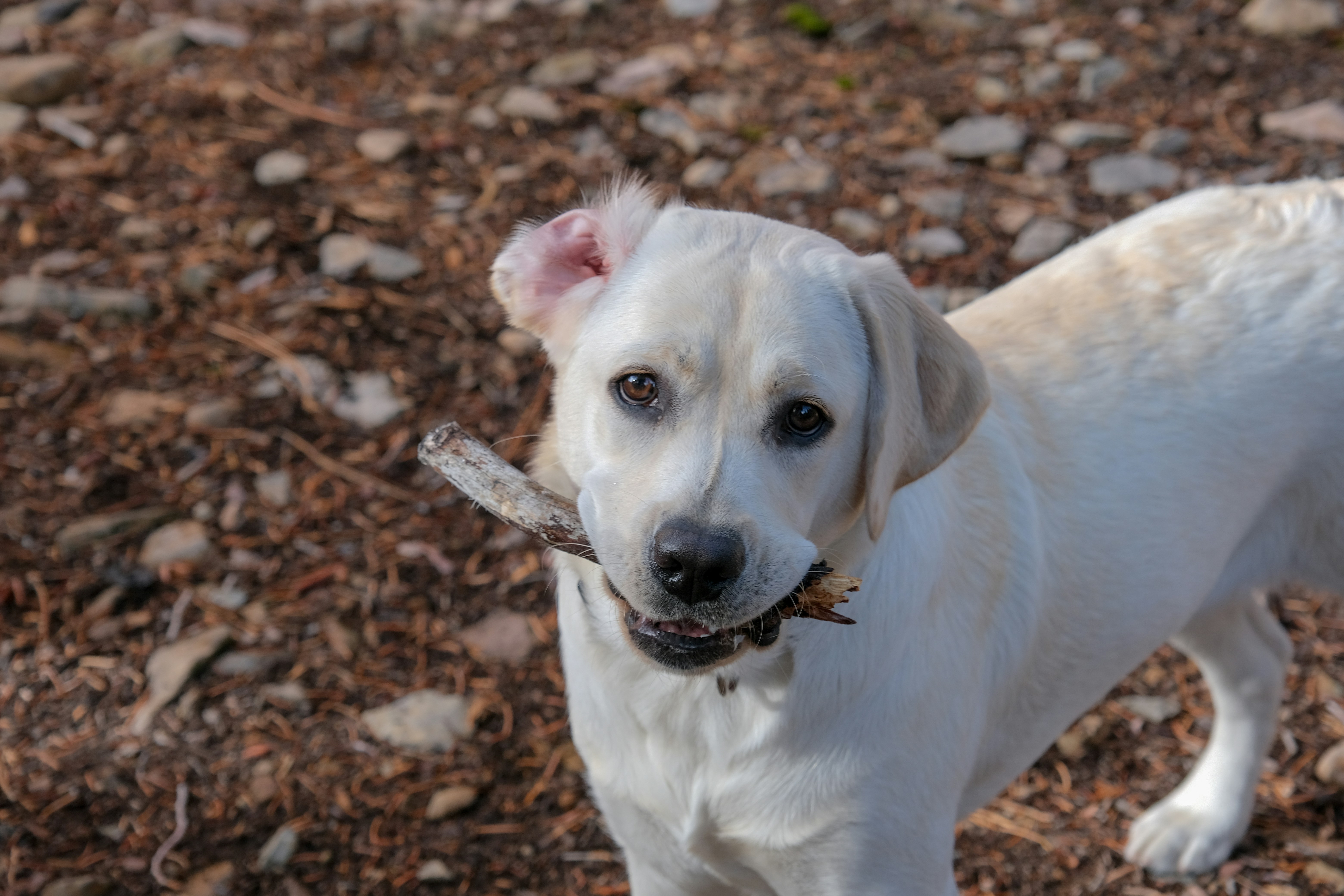 Photo by cestmoisheedy