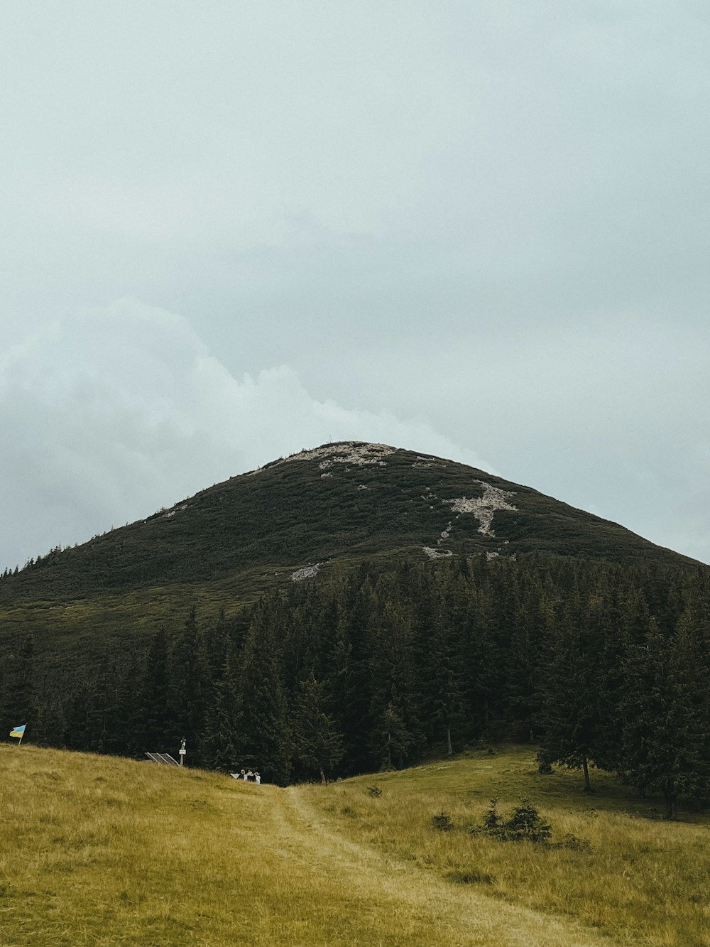 a grassy field with a mountain in the background